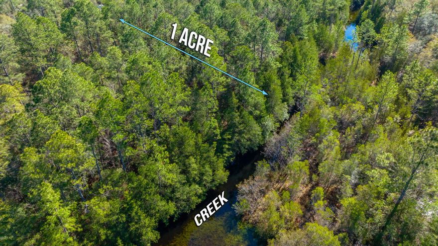 Who wants to live in the middle of the woods? What if I told you there was a beautiful creek flowing along the back of your property? This 1 acre parcel is for you! Sandy roads lead you through miles of Floridian 'Piney Woods'.. with very little development around you. The possibilities for this parcel are endless because there are zero restrictions in place. COUNTY TAXES.. BAKER SCHOOLS.. AND ELECTRIC NEARBY. Take a tour today, but make sure you have 4-wheel drive! Priced to move!