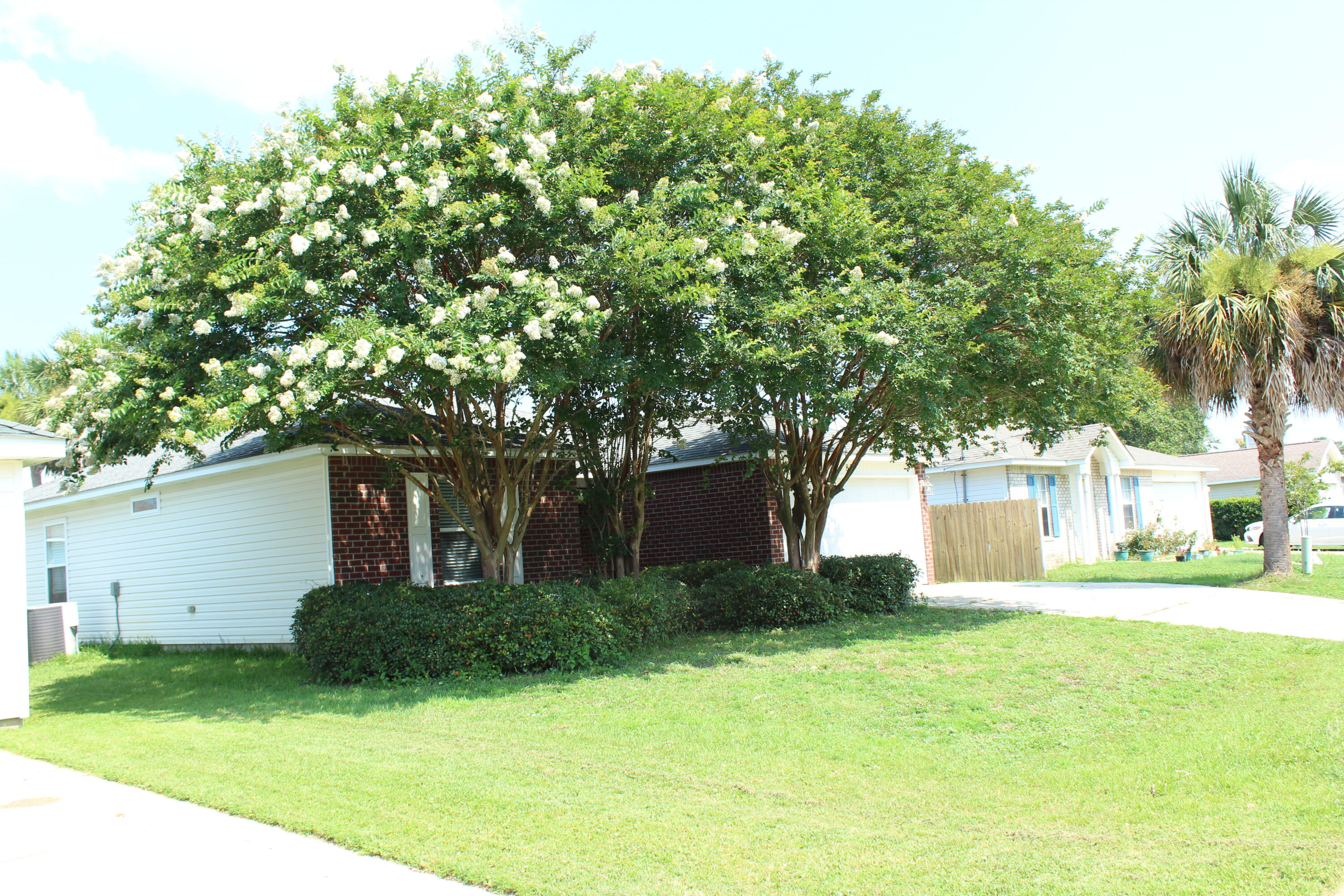 VICTORIA PARK - Residential