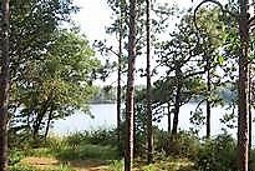 Beautiful Waterfront Lot with amazing views of Tom's Bayou. Lot 2. Buyer to verify all important information.