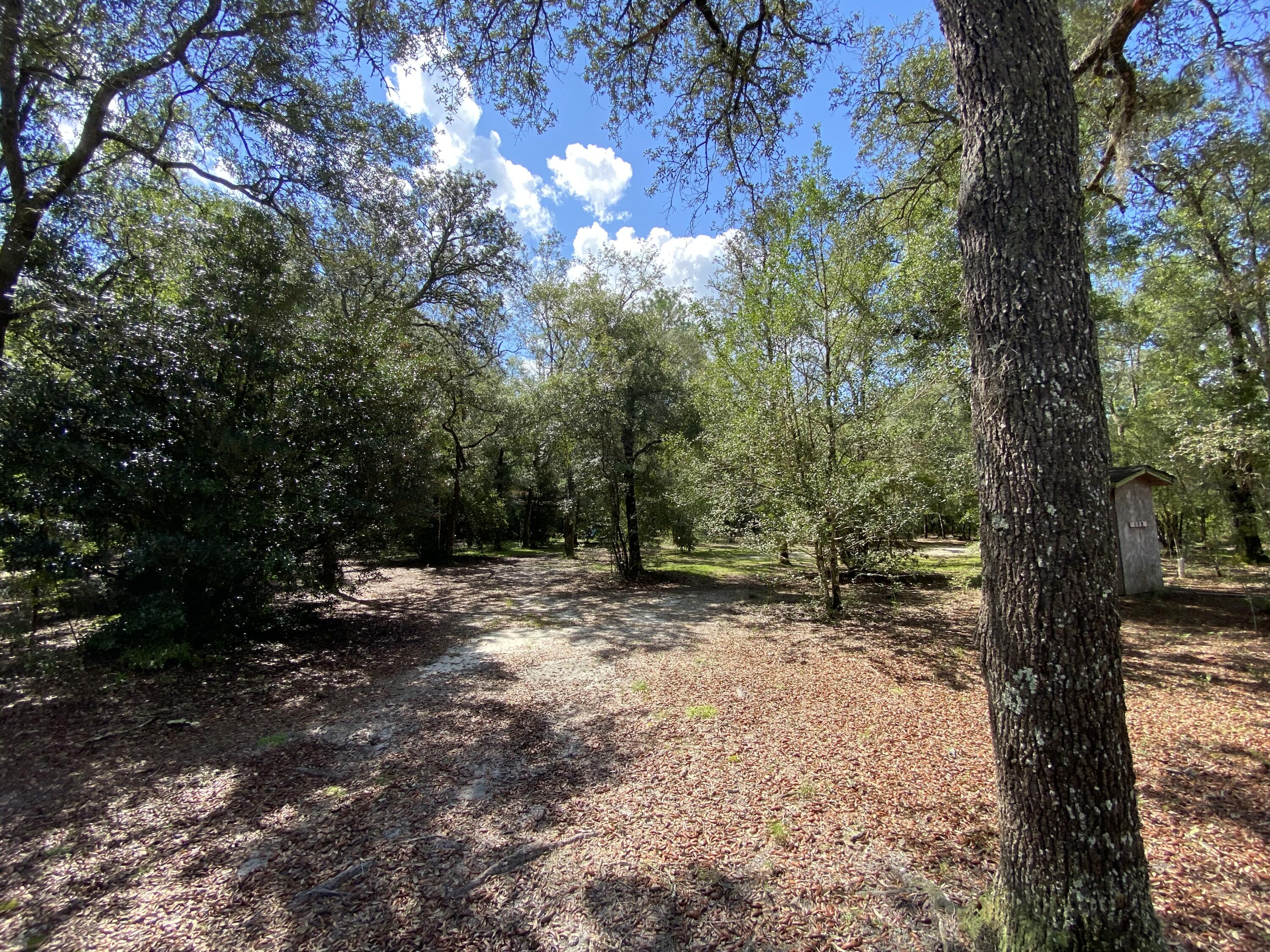 Enjoy the peaceful outdoors here in Holt. Bring your ATVS and Come and explore this 4.99+/- Acres of land with Tranwick Creek running through a portion of the property.Zoned Rural residential.