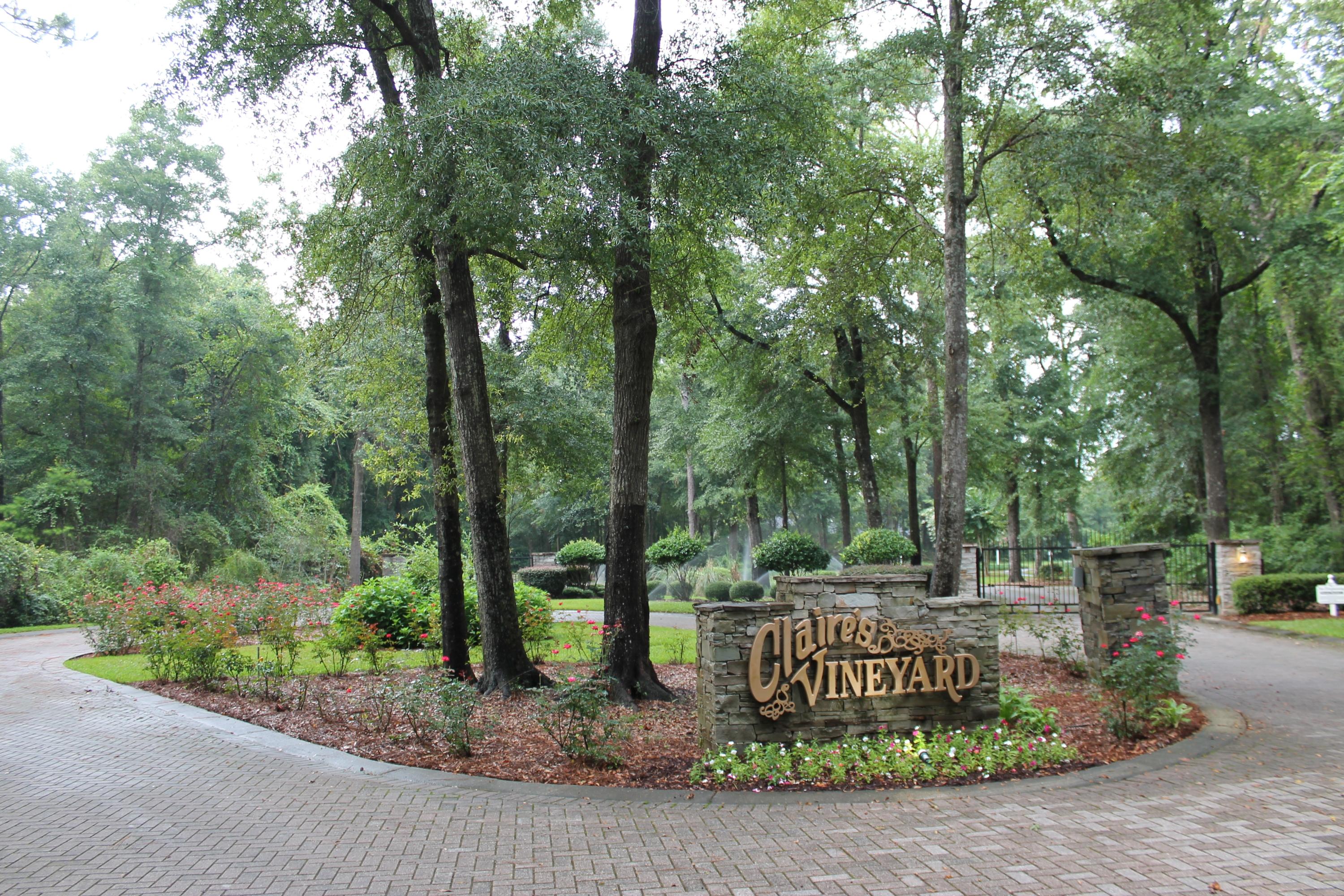 CLAIRES VINEYARD - Land