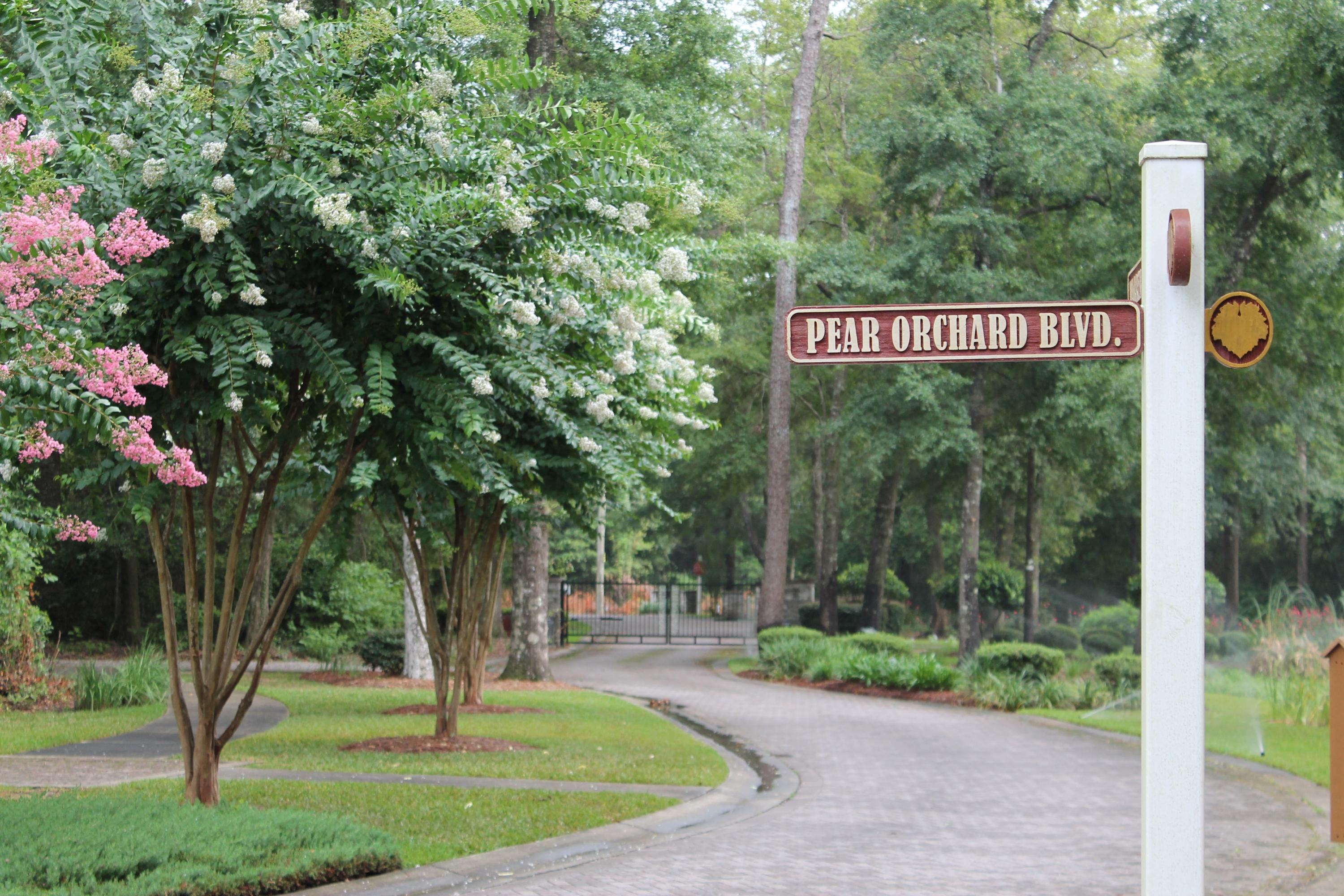 CLAIRES VINEYARD - Land