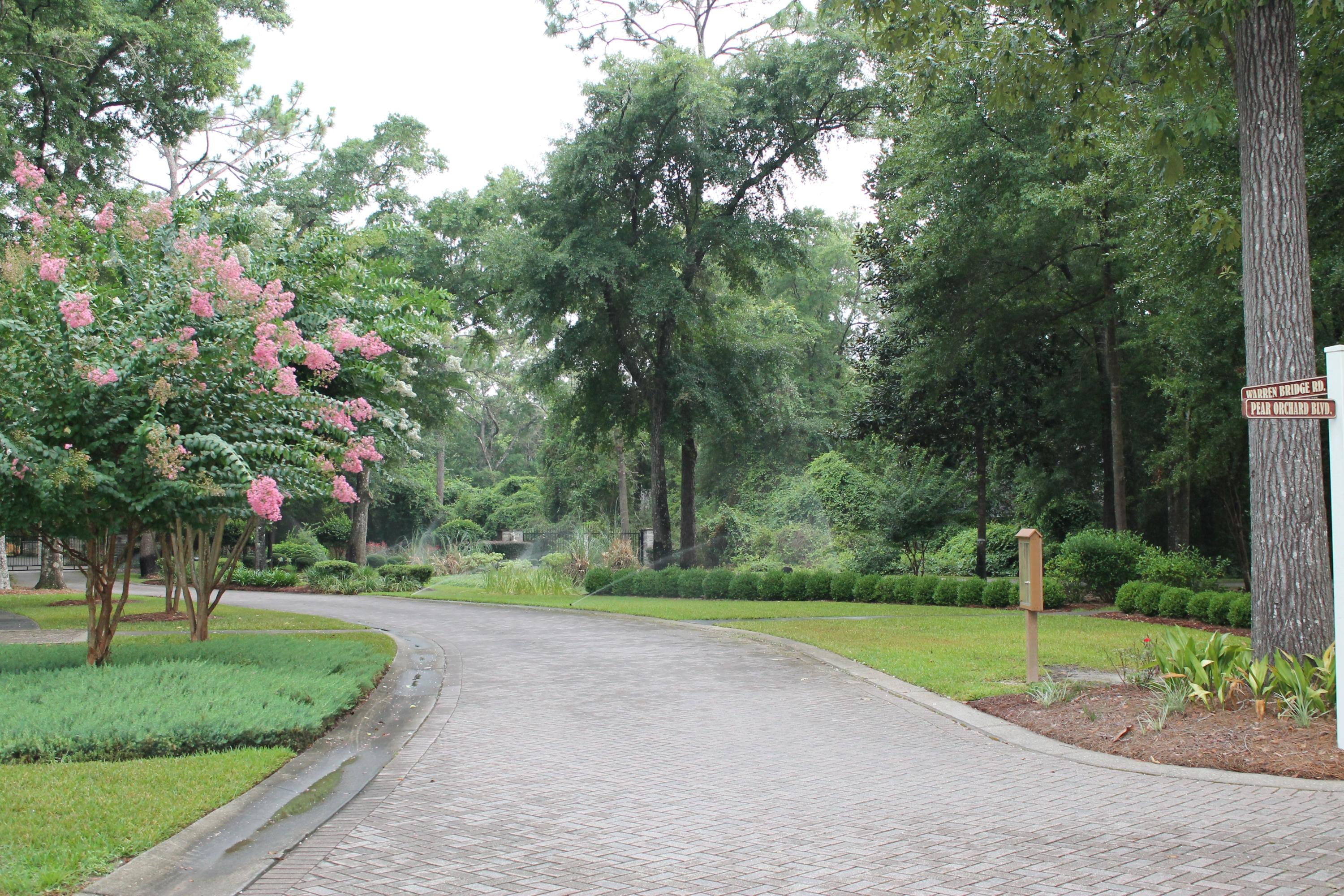 CLAIRES VINEYARD - Land