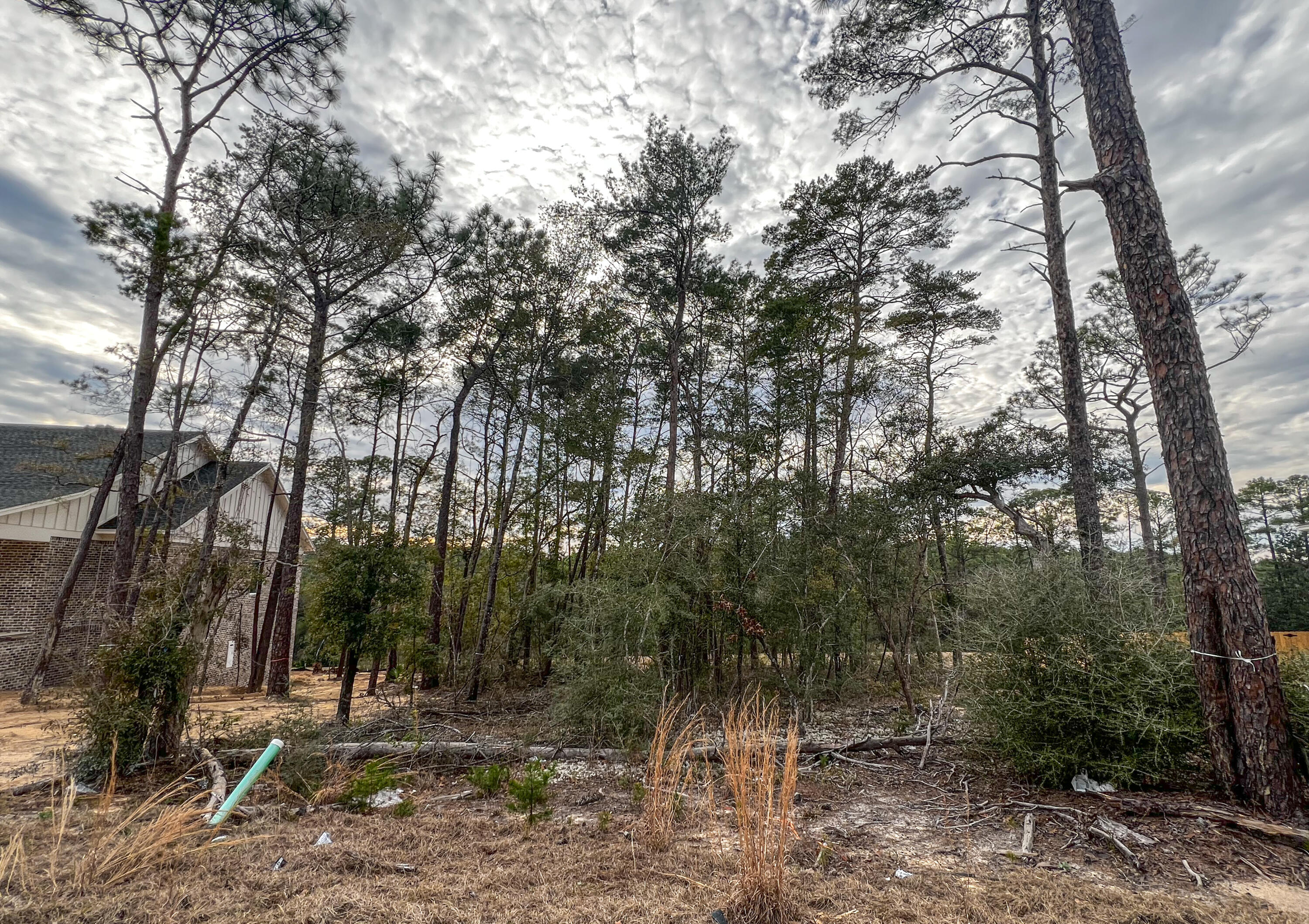 DEER MOSS CREEK - Land