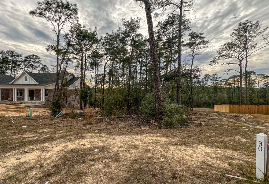 One of only three lots left in Phase 2. Don't miss your opportunity to build your dream home on this lot! Community plans include a nature trail, bike lanes, parks, pools, office and retail space.Sidewalks are 5' wide and home plans must be approved by the Town Architect.