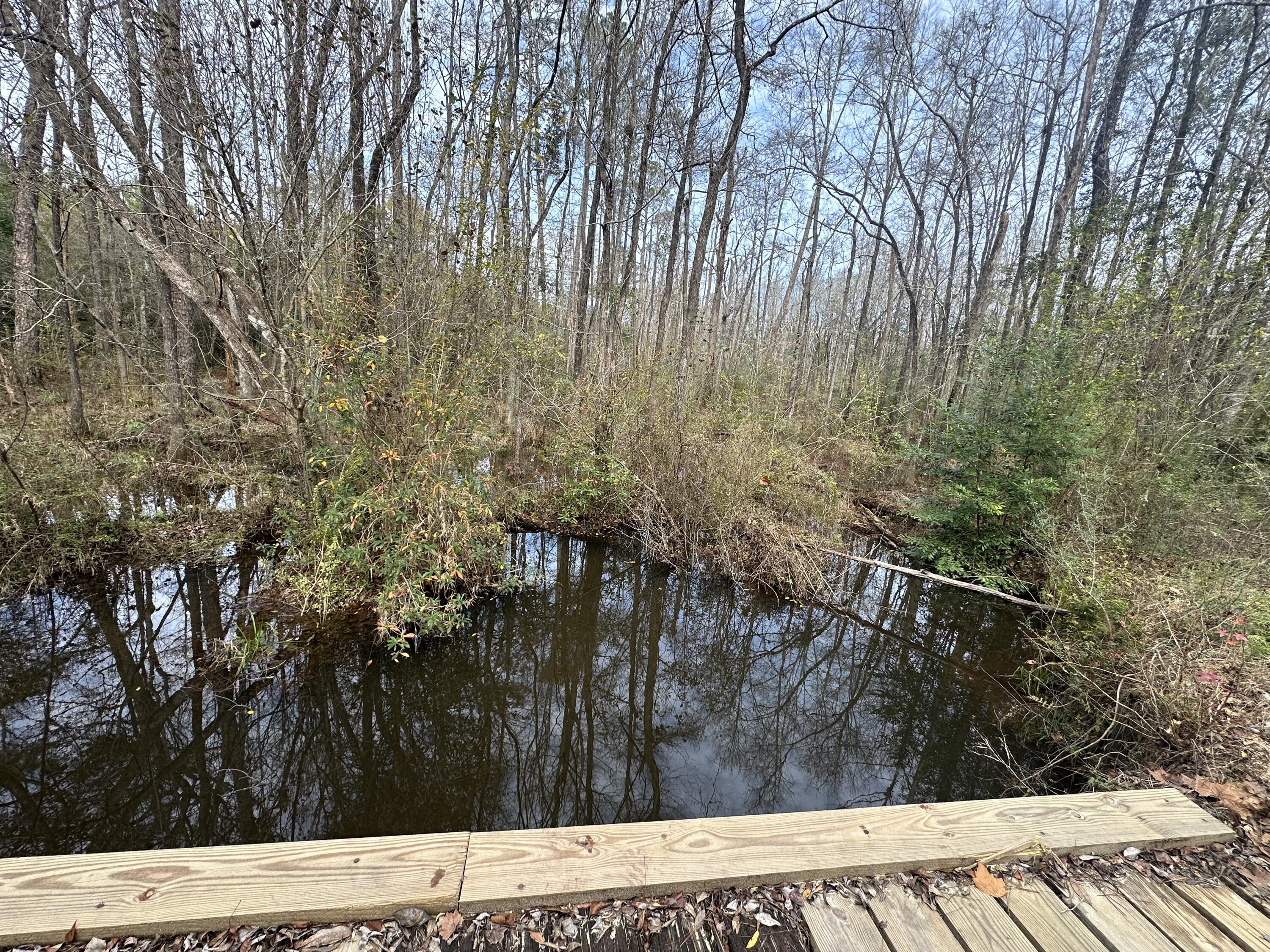 METES & BOUNDS - Land