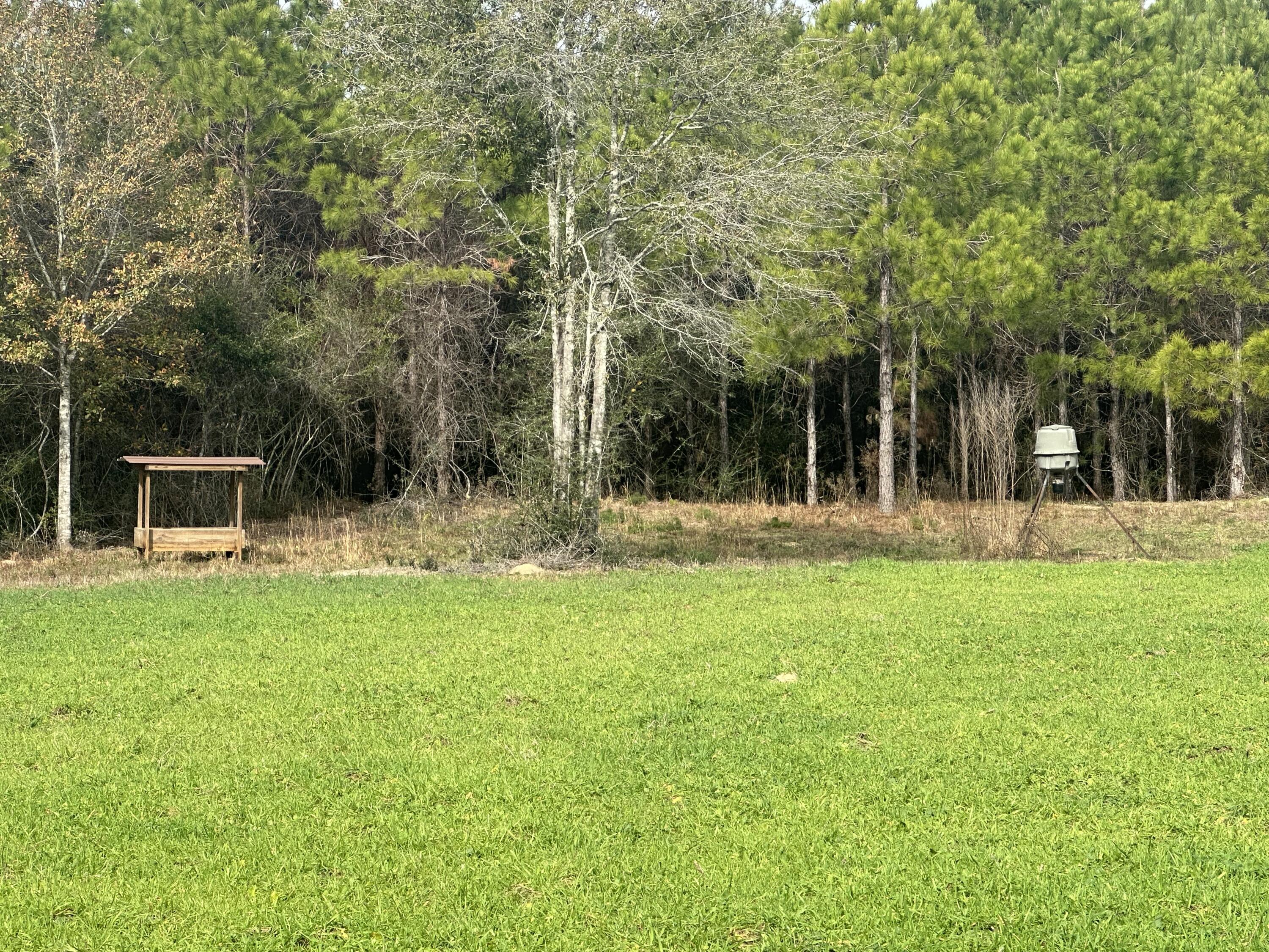 METES & BOUNDS - Land