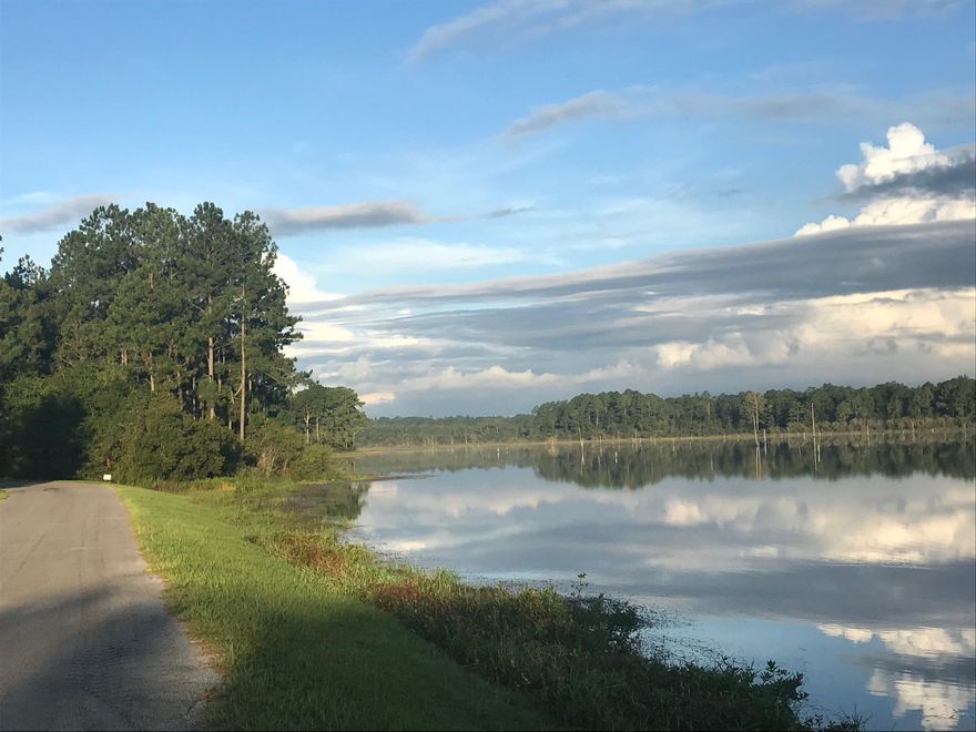 Attention fishermen! This 1.3 acre waterfront parcel is one of the nicest Juniper Lake lots on the market today. Juniper Lake is a state managed big bass & bream fishing lake. The lake record large mouth bass was reported to be 17 pounds!!