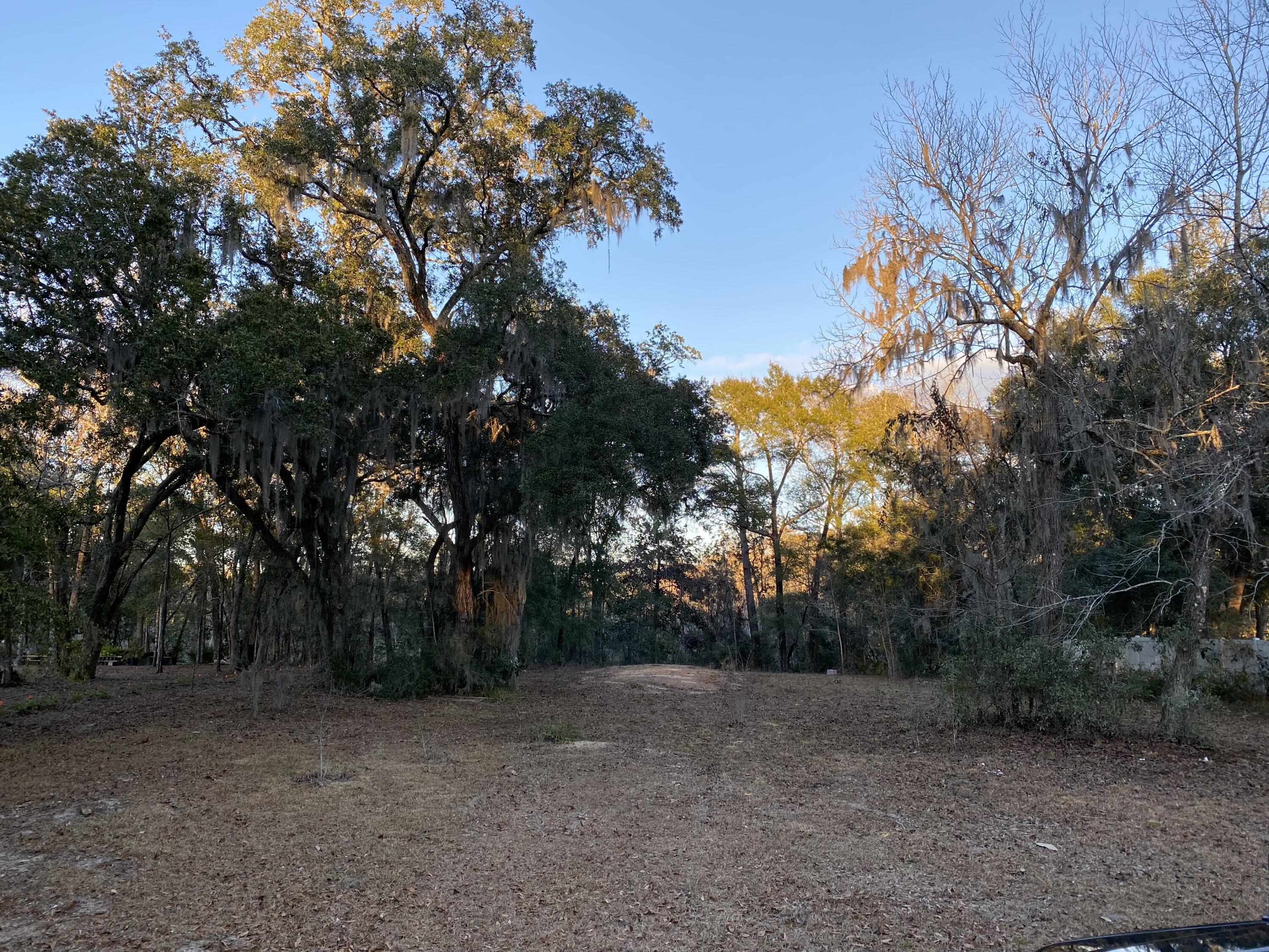 WATER & SEWER TAPS + IMPACT FEES ALREADY PAID SAVING YOU THOUSANDS OF $$$ !!! Opportunity Is Knocking For Your Own Waterfront Lot In Freeport. Towering Hardwood Shade Trees Remain After Lot Was Partially Cleared Leaving Beautiful Home Site. The Neighborhood Has Recorded Covenants & Restrictions. No Active HOA, No HOA Fees, No Build Out Time. Nice Assortment Of Home Styles Throughout Community. There Is A Community Boat Ramp In The Neighborhood Or Launch Your Kayak/Paddle Board From Your Back Yard. Buy This Lot To Build A Home Or Hold For Investment. Freeport Is Growing With Publix, Ace Hardware, Waffle House, Taco Bell..... Opening New Locations. Hurry Up And Buy This Lot Before This Opportunity Passes. Hurry & Call Today To Make This Lot Yours!