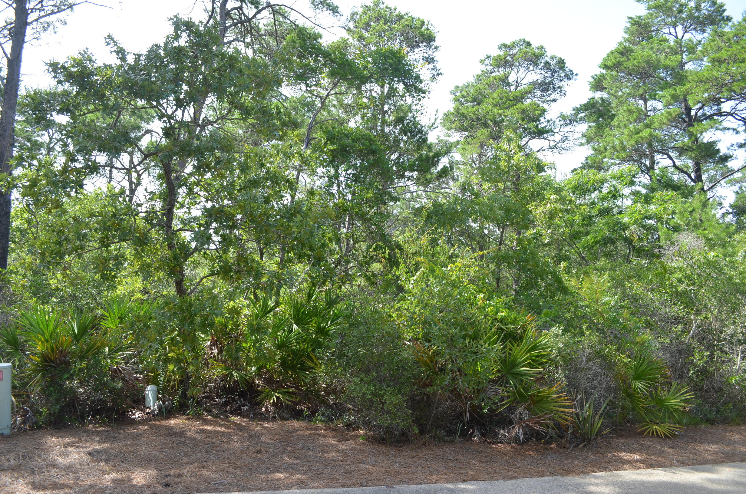 DRAPER LAKE COASTAL VILLAGE - Land