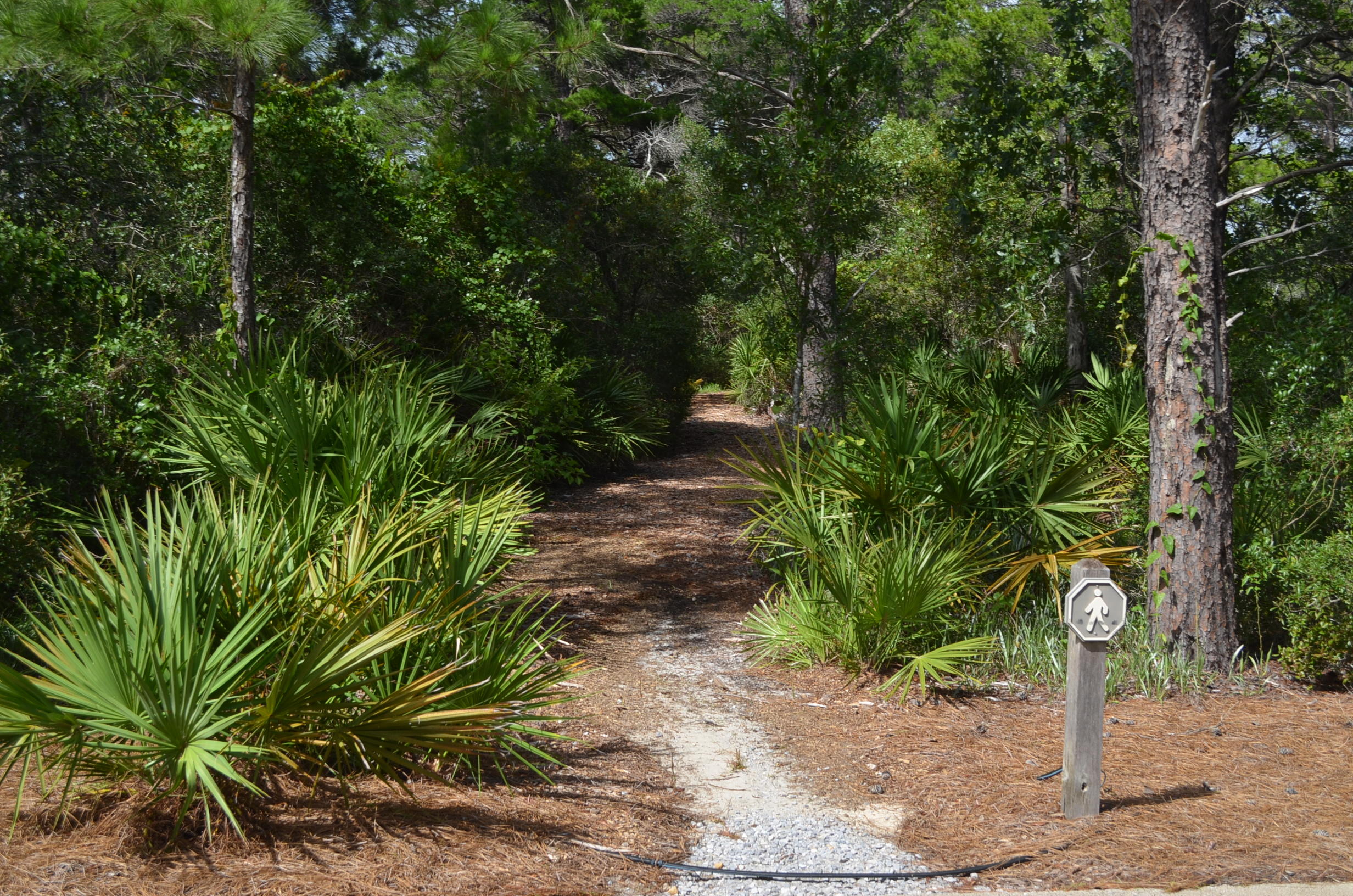 DRAPER LAKE COASTAL VILLAGE - Land
