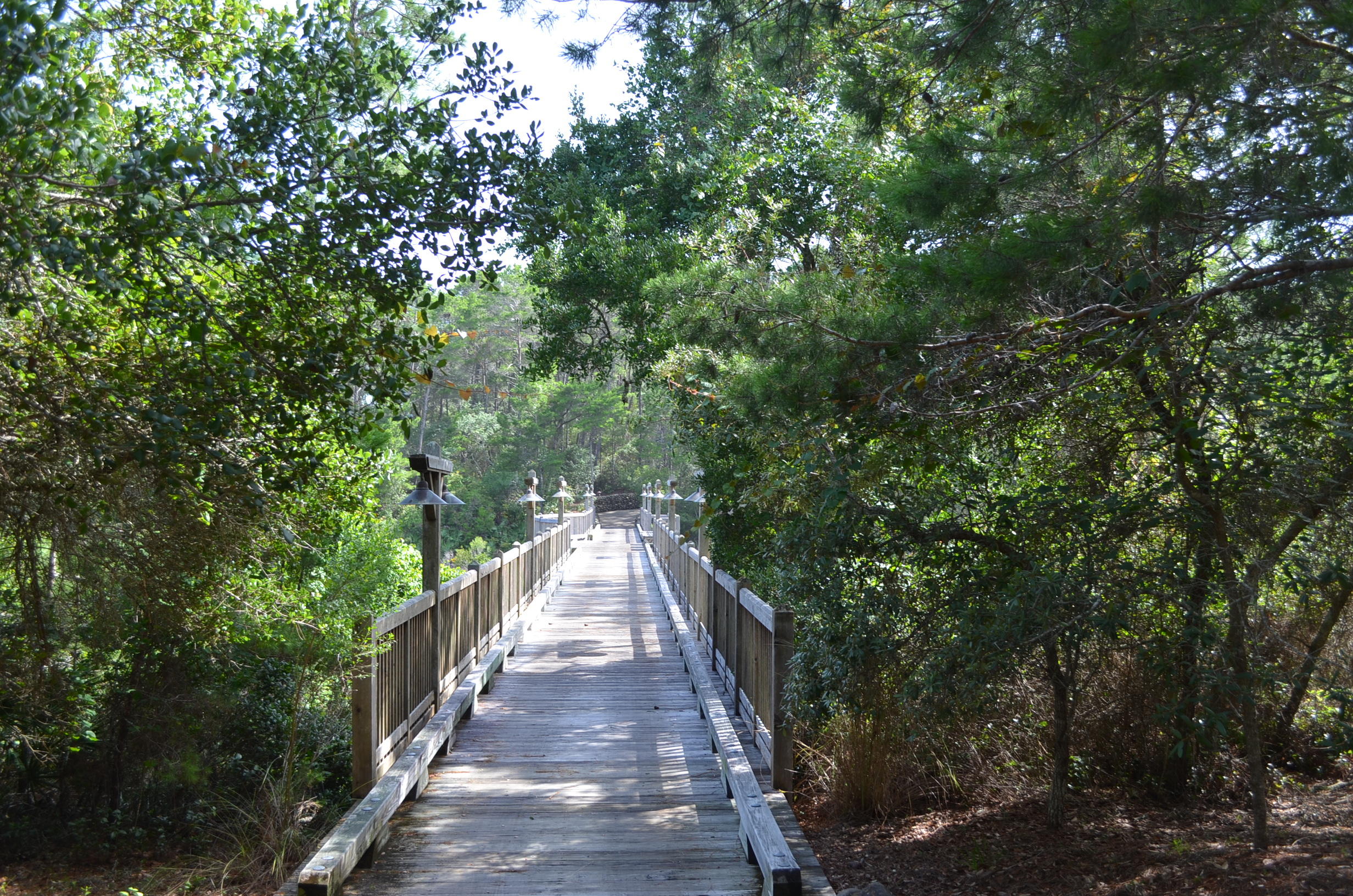 DRAPER LAKE COASTAL VILLAGE - Land