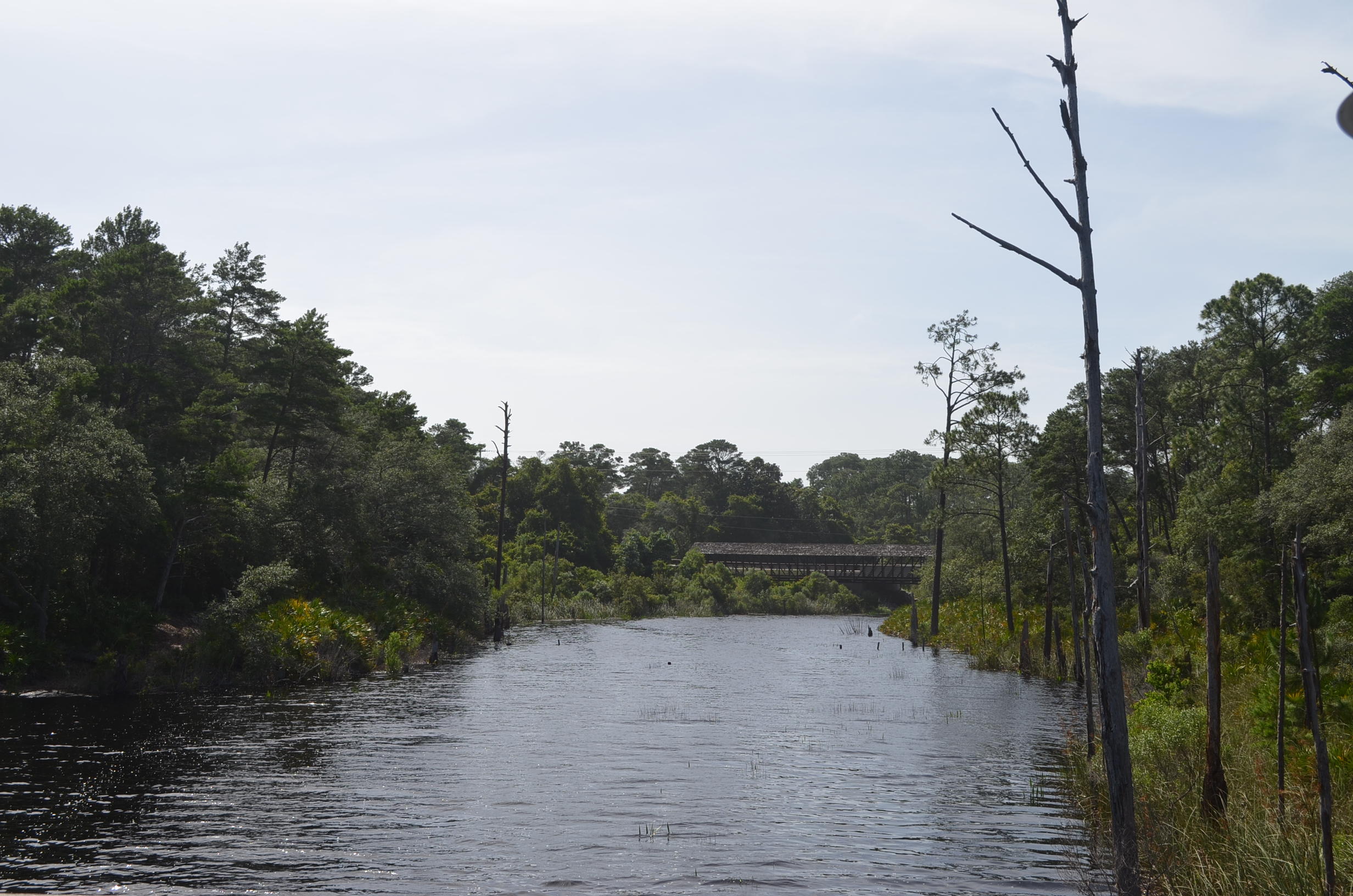 DRAPER LAKE COASTAL VILLAGE - Land