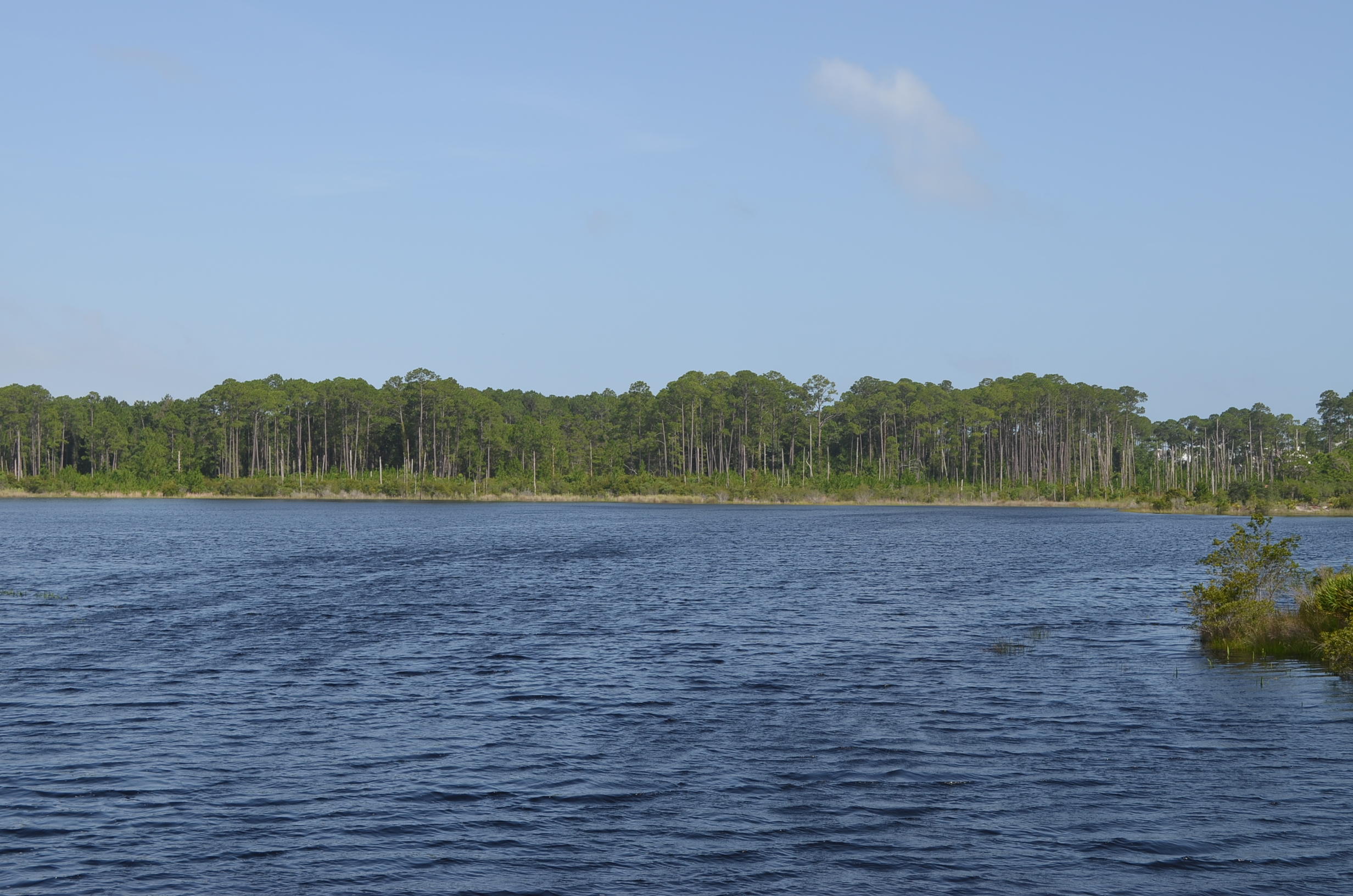 DRAPER LAKE COASTAL VILLAGE - Land