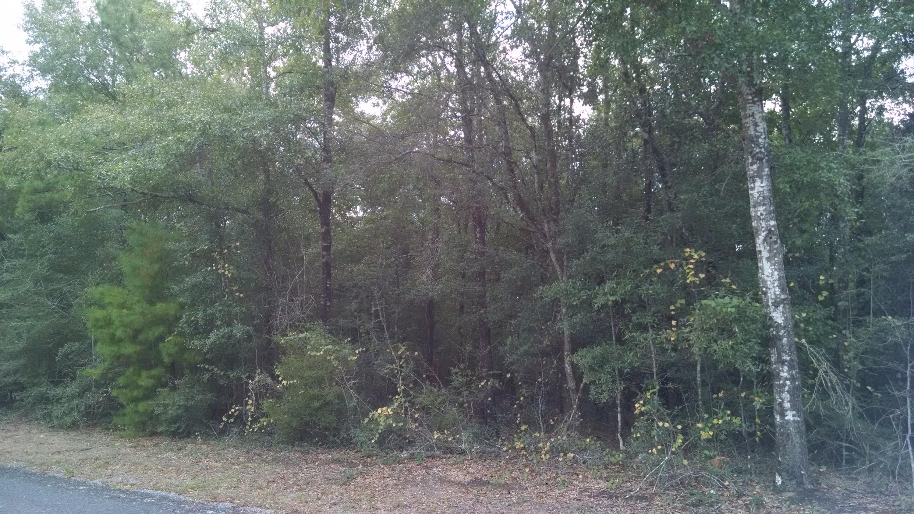 METES & BOUNDS - Land