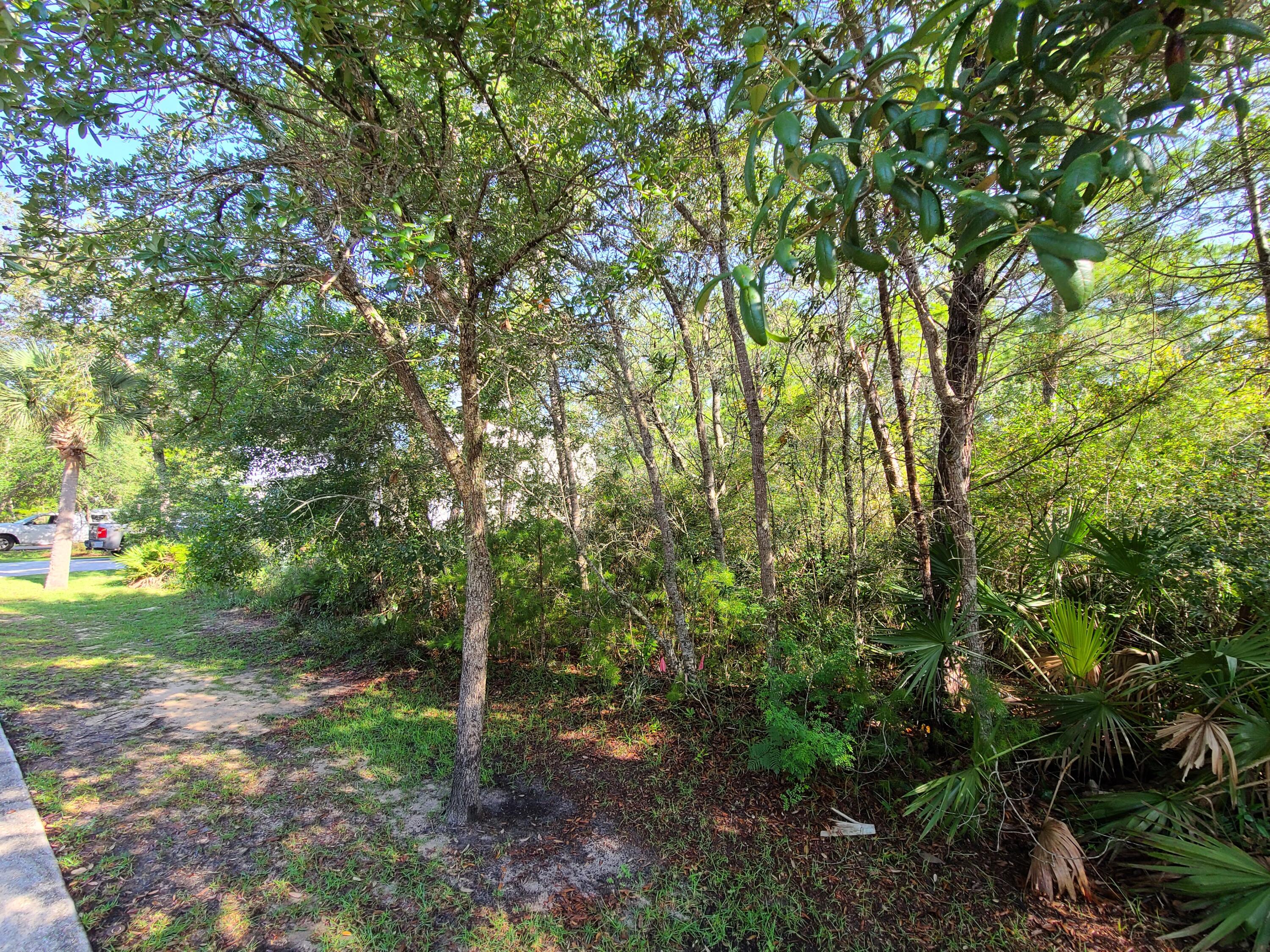 GRAYTON BAYOU - Land