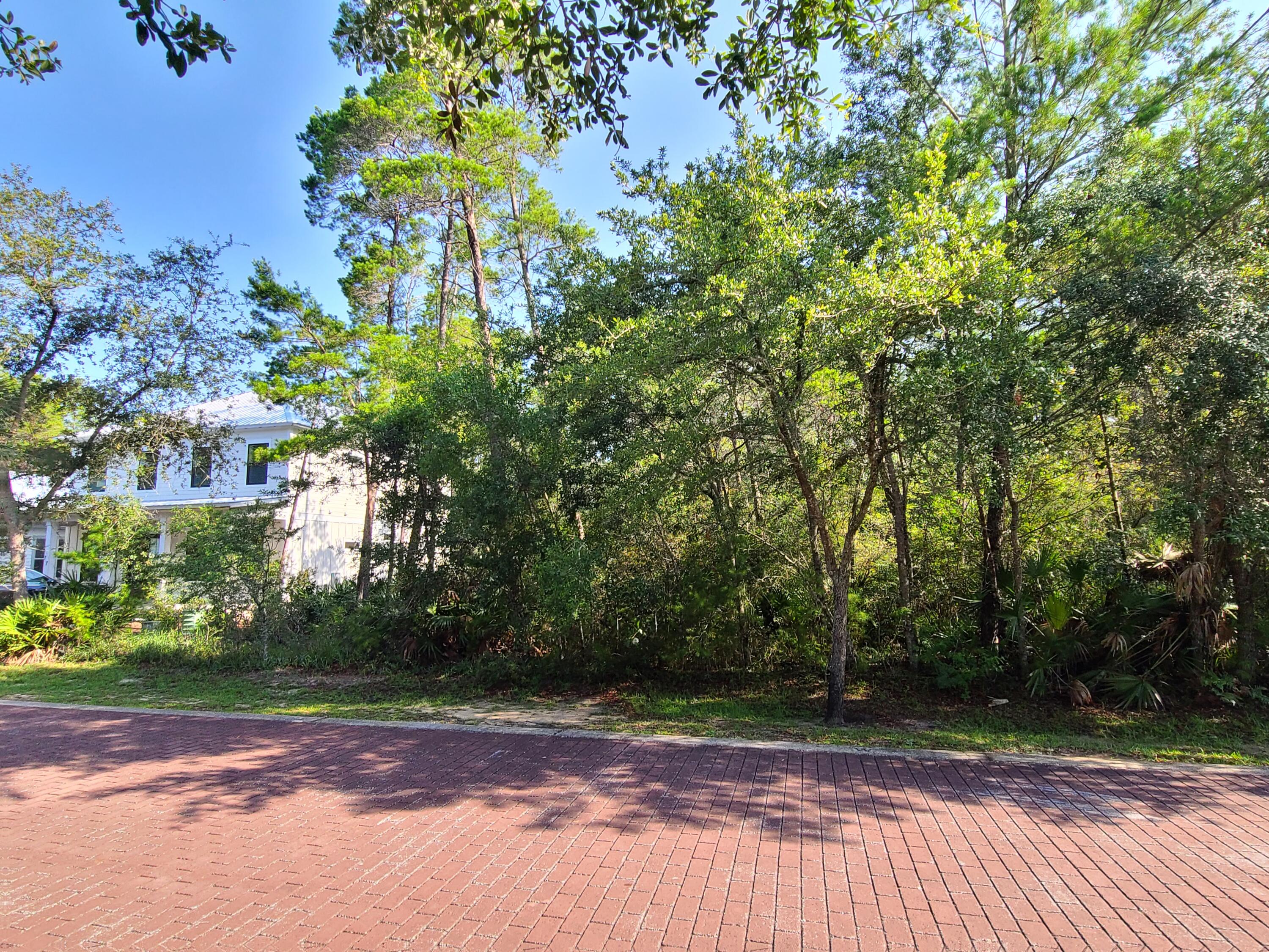 Located only 3 miles to the Public Parking for the shuttle to Grayton Beach, Grayton Bayou offers a reprieve from 30A, while having the ability to easily access the beaches, dining and shopping. Enjoy the beach life by taking the newly paved bike bath from the bay to Grayton Beach. Grayton Bayou is a rapidly growing community with a neighborhood pool, underground utilities, street lights, paved streets, with protective covenants and restrictions. Close by you will find a public boat ramp to McQuage Bayou (leads to the bay) and a county park with fishing pier and kayak/paddle board launch. Lot 9 Grayton Bayou gives you the opportunity to build now or later (no buildout time)