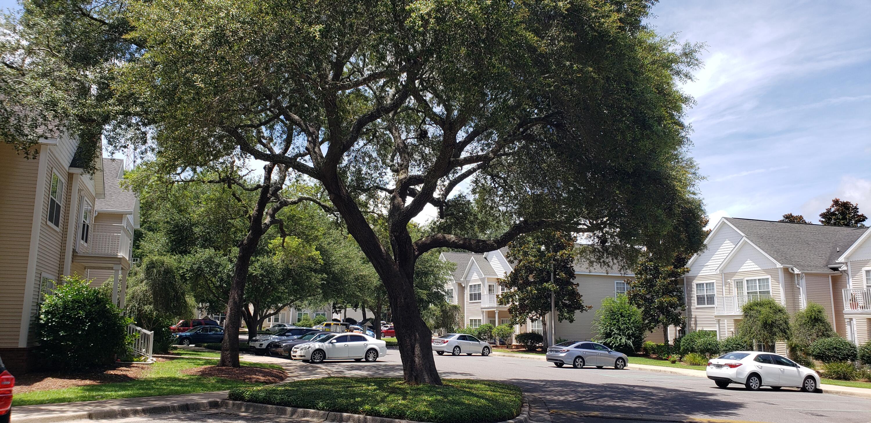 THE OAKS AT NICEVILLE - Residential