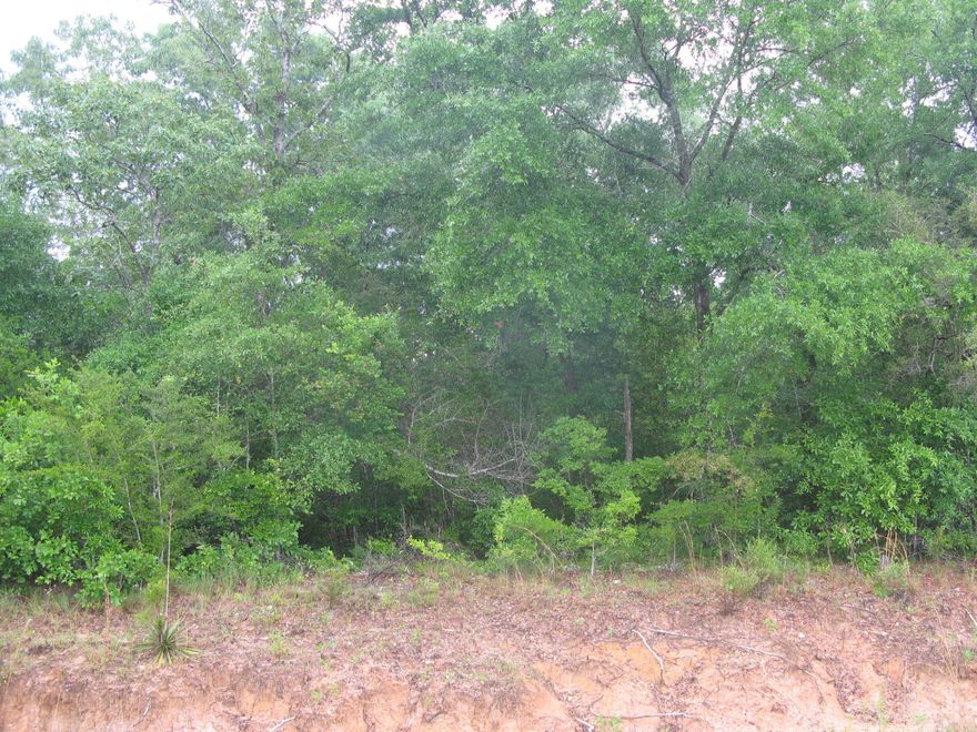 Approx. 2 acres located on dead end road, plenty of privacy. Have survey. Creek goes thru the property. Sellers are licensed Florida Real Estate Brokers. See attached aerials under documents.