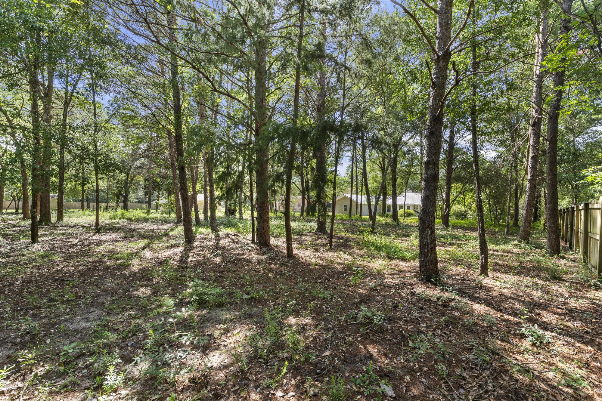 Marion Drive - Residential