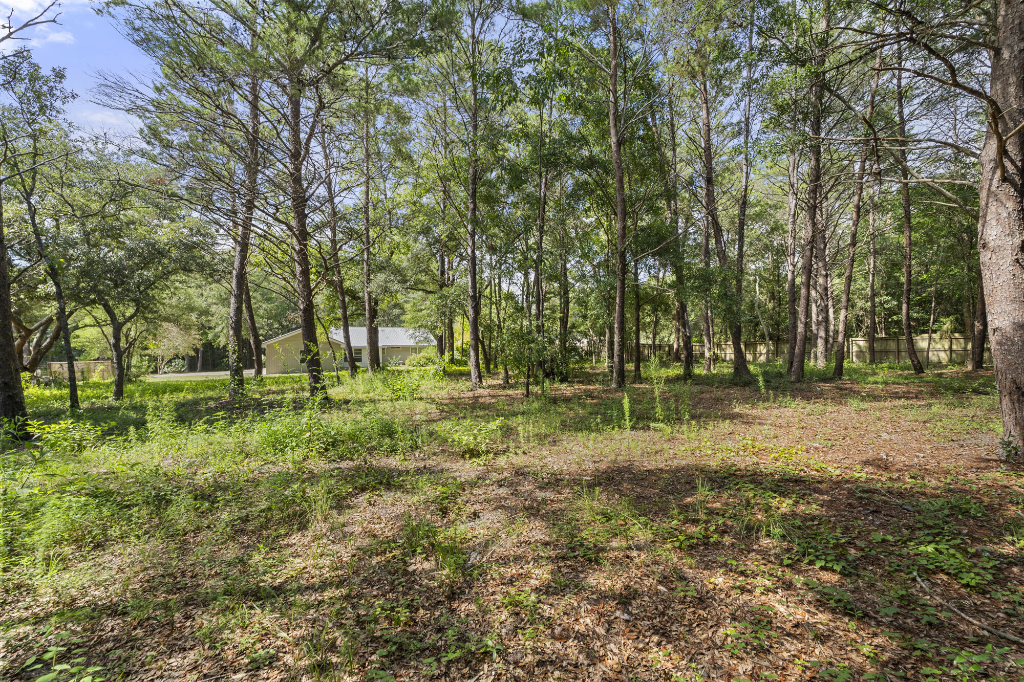 Marion Drive - Residential