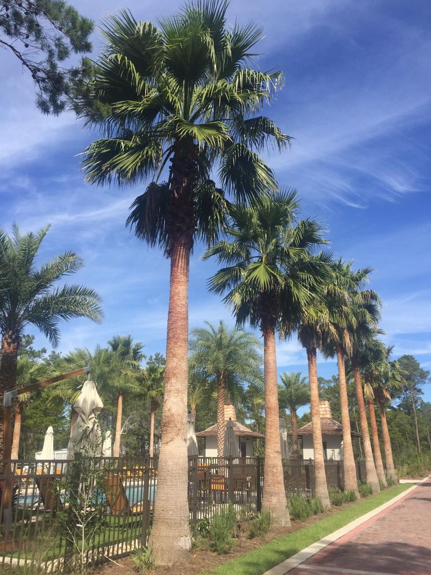 Entered for Comp purposes only