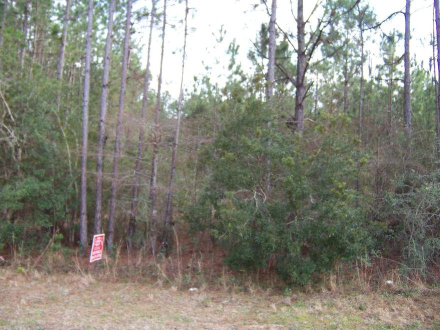 Nice level lot on paved road located close to Lake Stanley Park and boat ramp and Juniper Lake Park and boat ramp. Only minutes from town. Mobile homes allowed. Possible owner financing.
