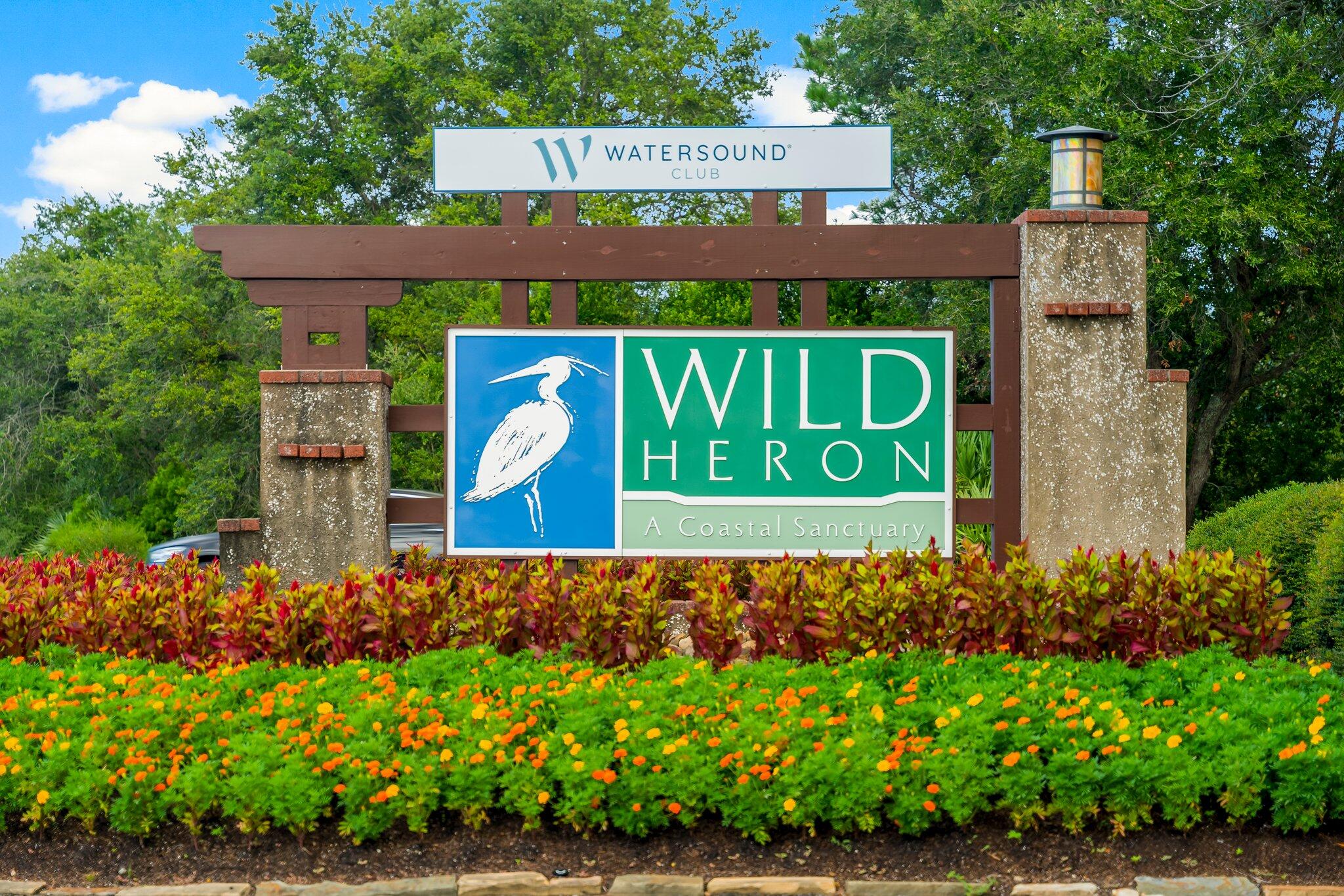 WILD HERON - Land