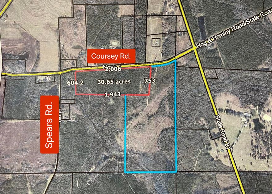 Beautiful 30 acres in North Holmes County, Florida. This property has planted pines and would be perfect for your hunting land, a place to build your dream home or nice getaway. Lots of wildlife, mainly deer and turkey.The property is high and dry, Flood X:100% Pictures and more information will be updated soon.This 30 acres will be surveyed out from the 105 acres.The other 75 acres is listed MLS #854992