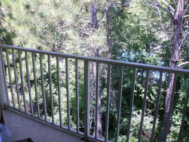 POINTE OF VIEW CONDO - Residential