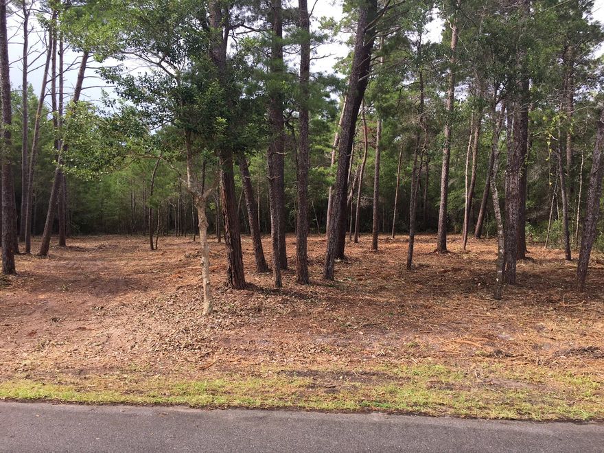 Looking for an extra large lot in a family friendly area with no HOA??? You just found it! This GORGEOUS building lot in the popular Eden Estates in Pt Washington is ready for your home! This is NOT your cookie cutter lot or subdivision. Beautiful trees, quiet streets and all within walking distance of the bay...You don't want to miss this one. Call today for more info on this gem of a property!