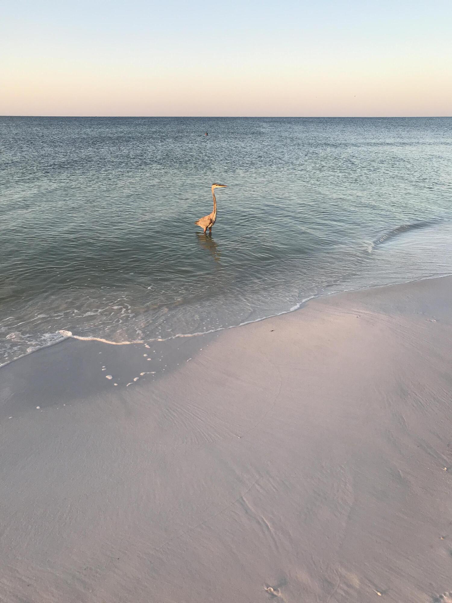 DESTIN GULFGATE CONDO - Residential