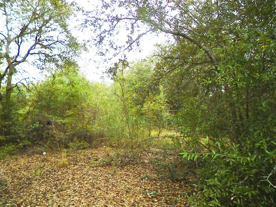 Located just North of DeFuniak Springs. Lot has road frontage on Caswell Rd and on Terrance Ct. and previously had a manufactured home there. DeFuniak Springs water is available and tap fee is paid. Water meter is located on the back of the lot facing Terrance Ct. - both paved roads. There is also a septic tank (no information on size) and a power pole. Meter was removed by Chelco. All utilities being sold as-is. Center of lot had been cleared but trees remain surrounding the lot for privacy. Original deed restrictions are in file and allow for residential use only. Hard to find a lot ready for your new home.