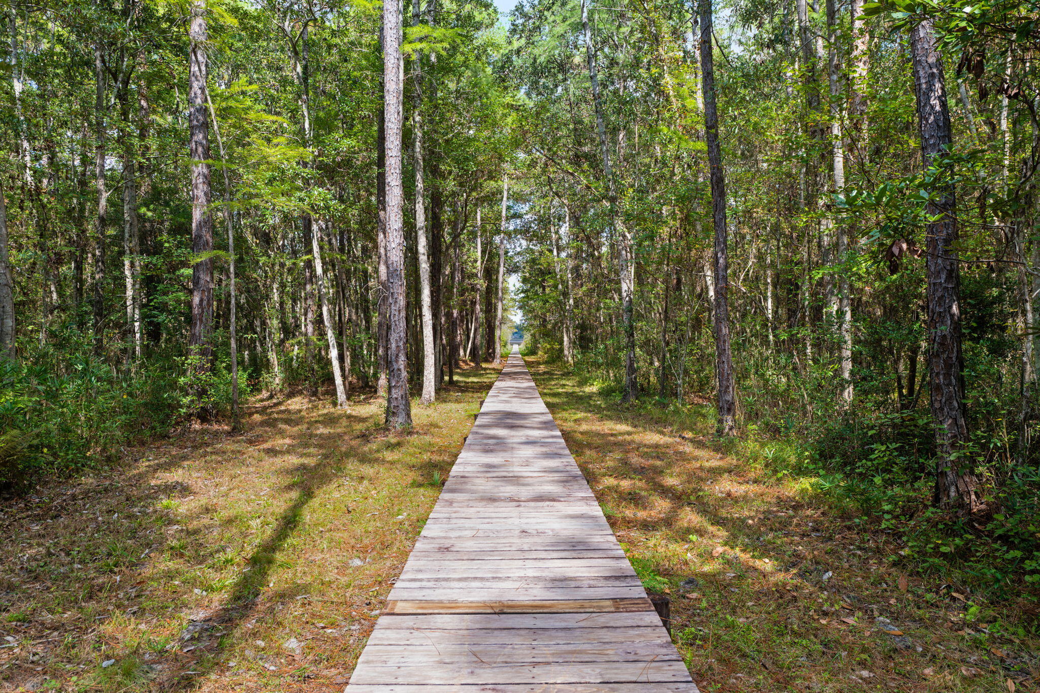 COUNTRY BREEZE EAST - Residential