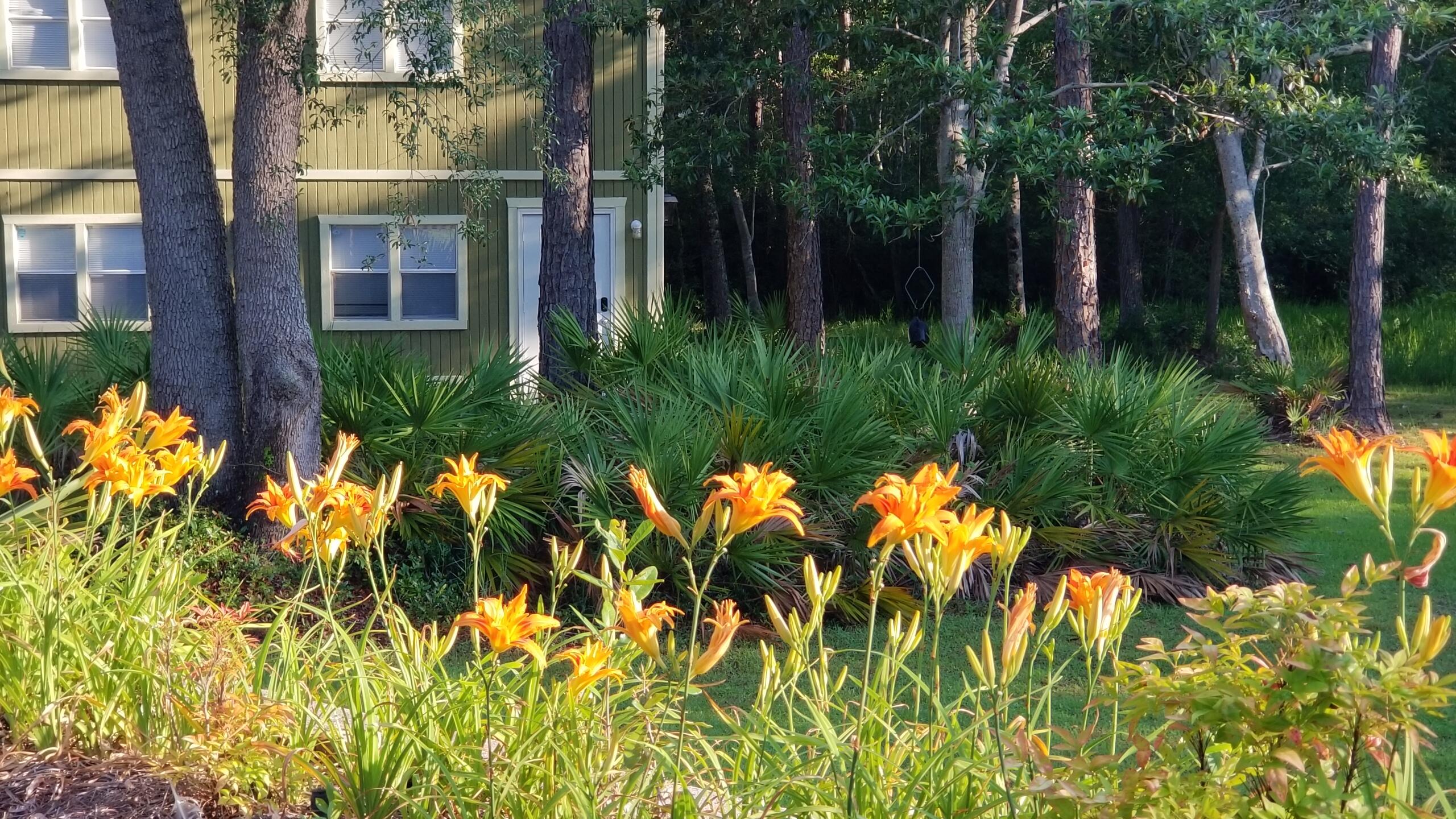 COUNTRY BREEZE EAST - Residential