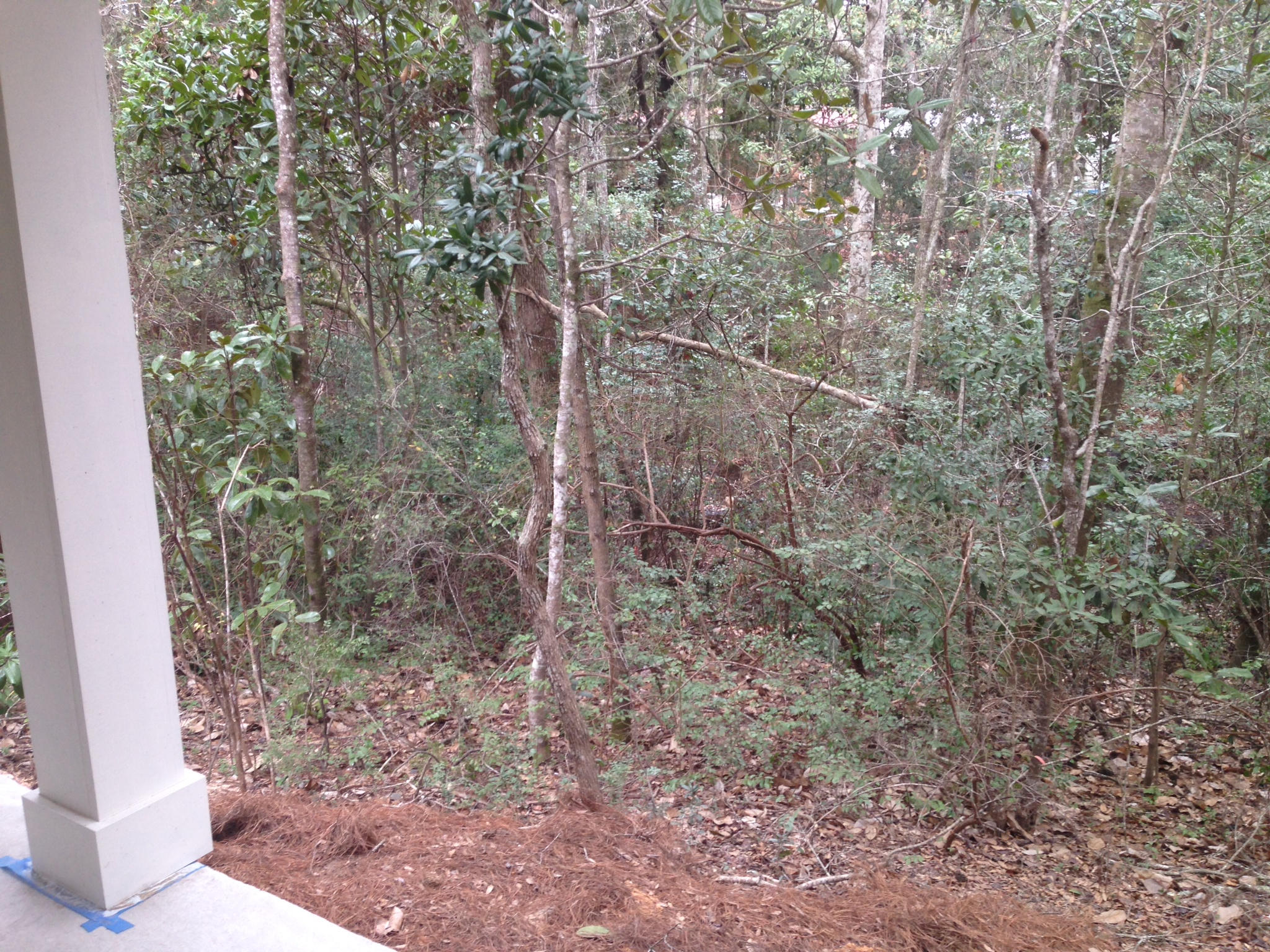 NICEVILLE - Residential