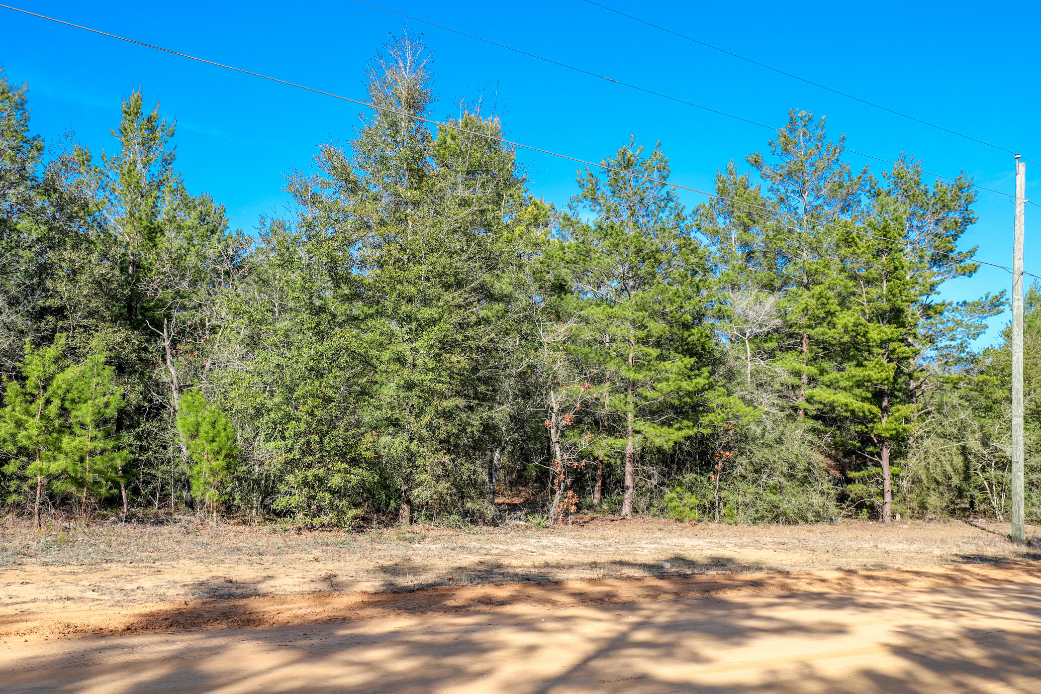 OAKWOOD HILLS UNIT III - Land