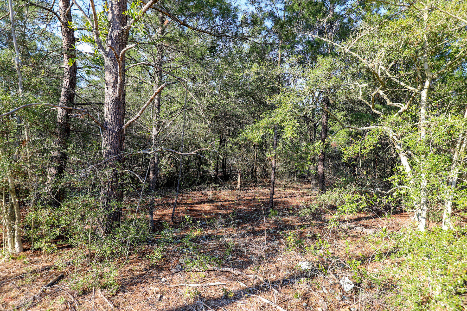 OAKWOOD HILLS UNIT III - Land