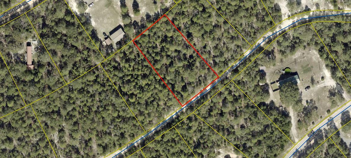 Large 1-acre lot just outside city limits of DeFuniak Springs and 45 minutes from our beautiful beaches. Build your new house or place a Manufactured Home. Water and electric utilities are in the area. Buyer to do due diligence, sold as is. Current survey will be provided. Additional lot available for purchase mls number 967784 for a total of 2 acres!