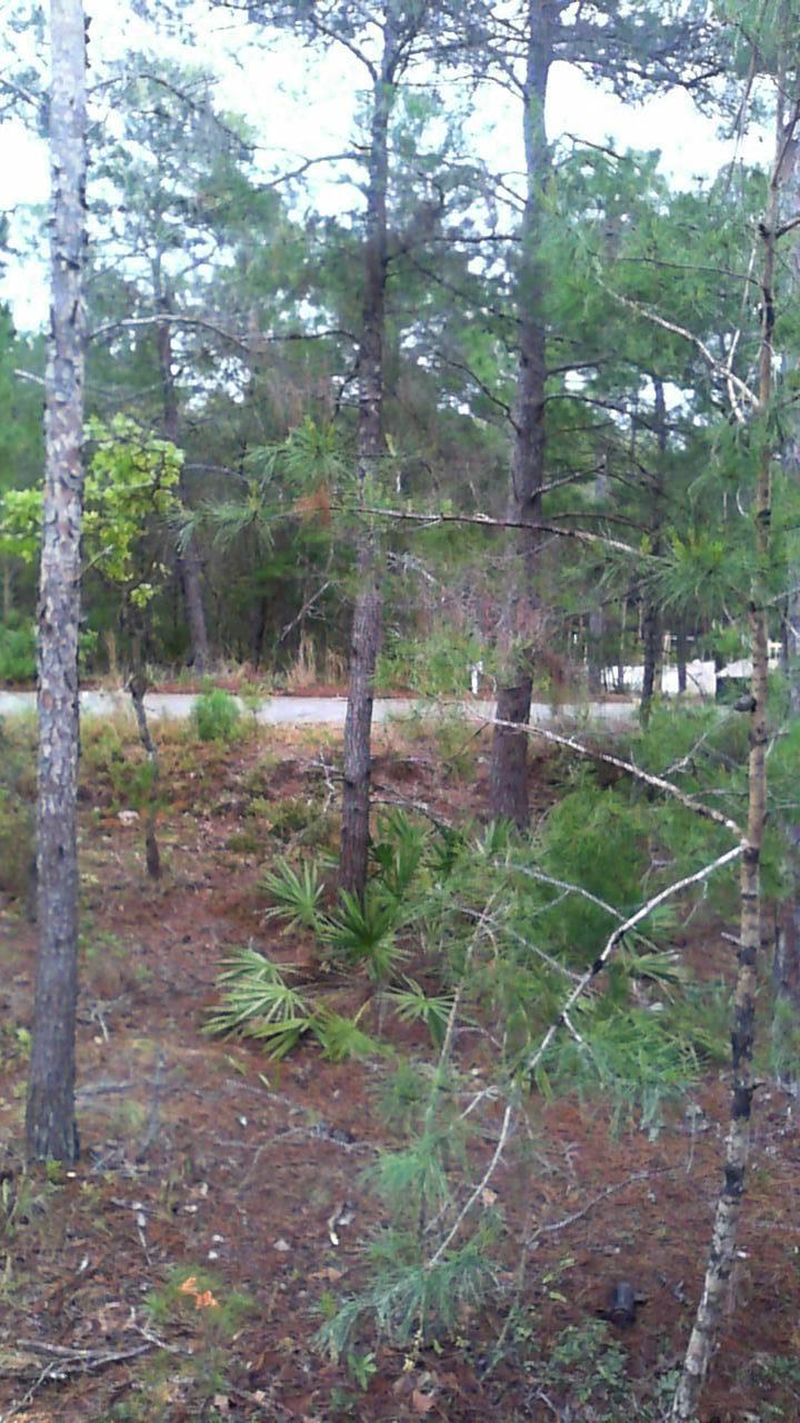 HIGHLAND PARKS - Residential