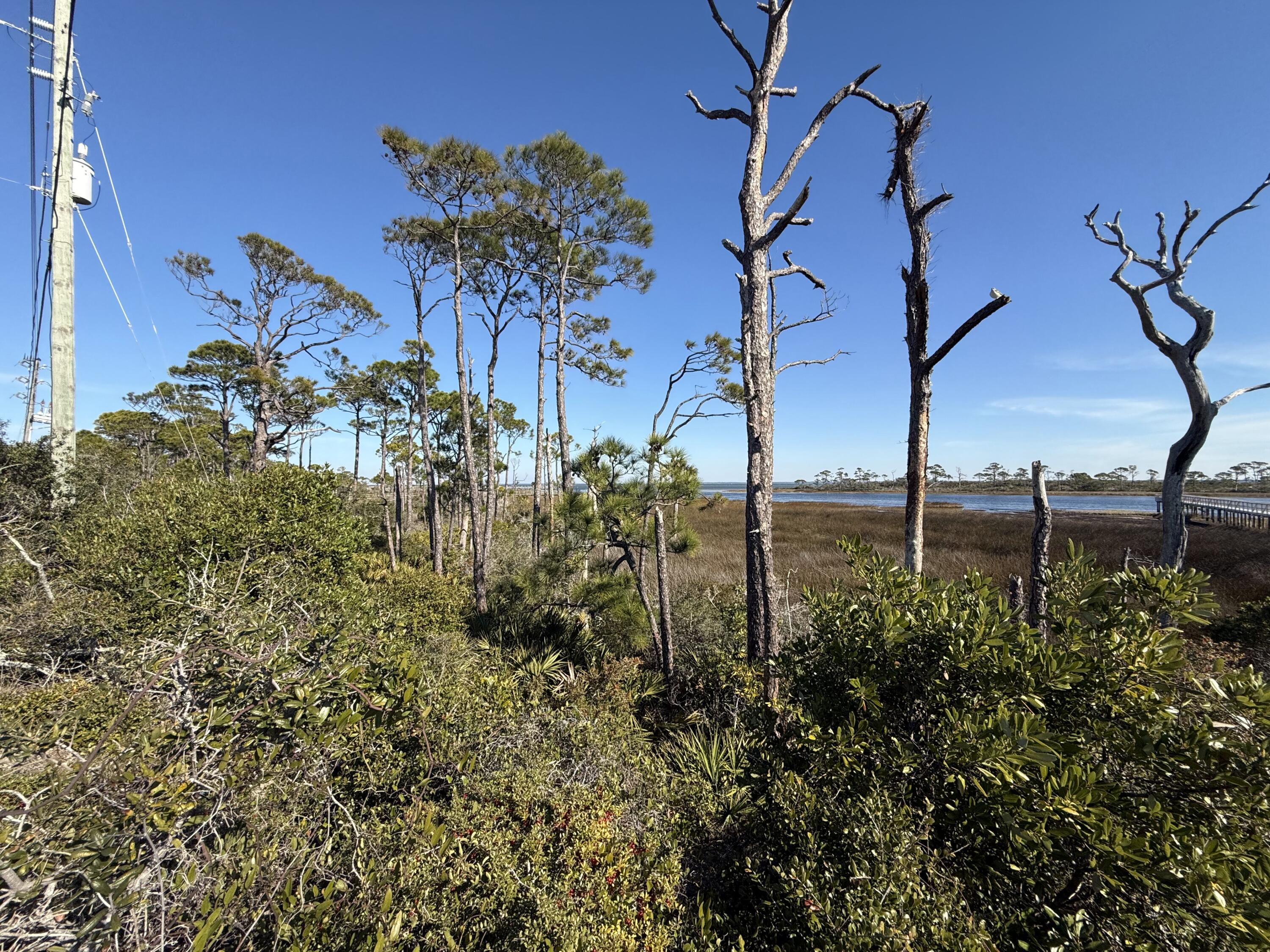 A rare Bayfront lot on the north cape that is suitable for your own private bay access. Located on the Pig Bayou channel, this large and irregular waterfront parcel will be a great access point for folks that own other properties and wish to access the bay. Many possibilities for a dock, day camping, etc. Parcel is similar to several existing ''dock parcels'' contiguous and to the south of subject parcel. It is believed that this parcel may not be buildable for a single family dwelling and the owner make no representations as such. Owner is a licensed Florida Real Estate Broker.