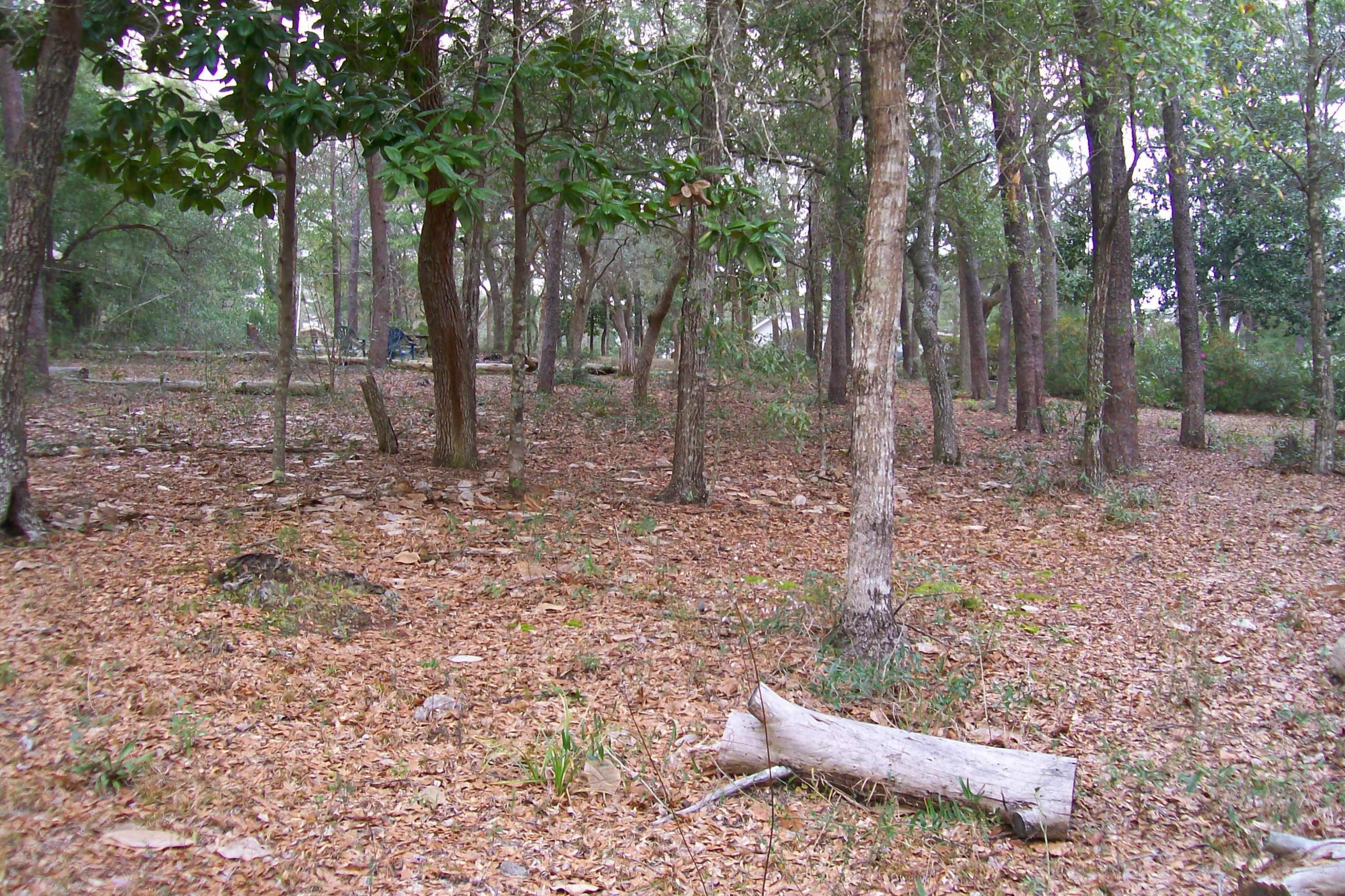 Leisure Lakes S/D - Residential