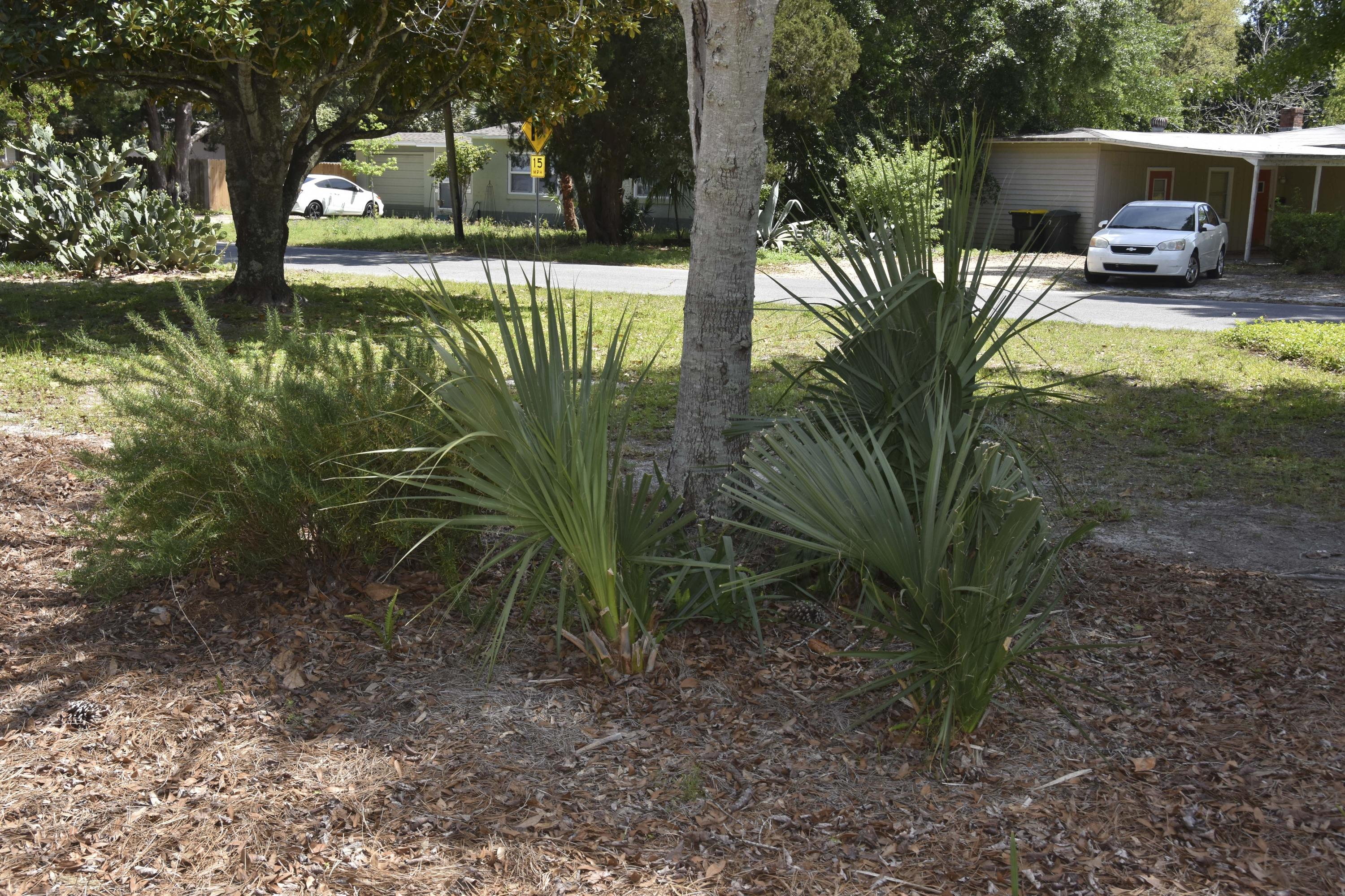 ELLIOTTS POINT - Residential