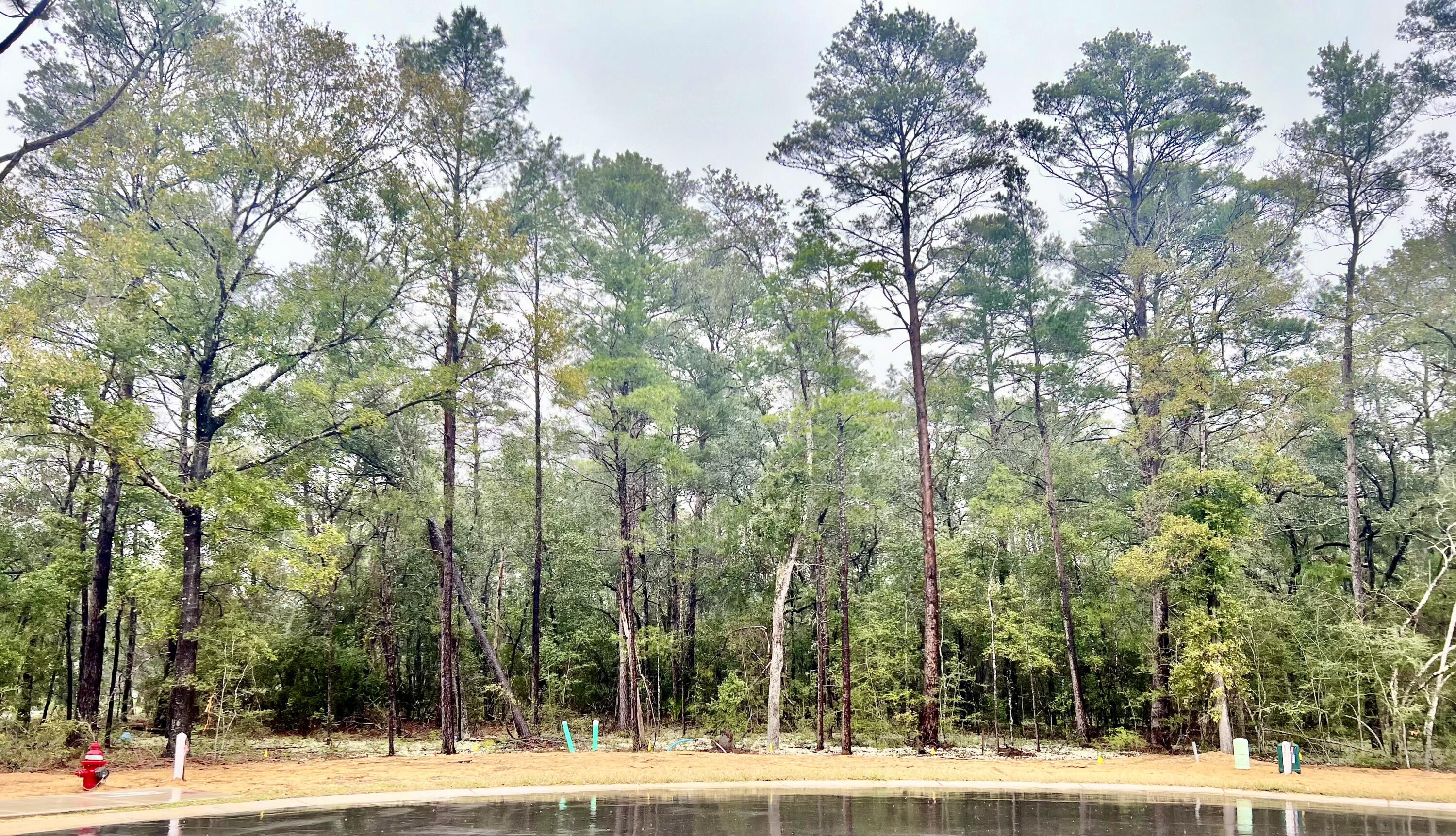 Deer Moss Creek - Land