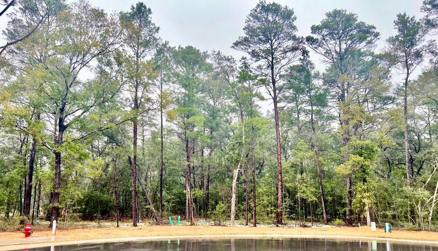 Cul-de-sac lot in desirable Deer Moss Creek(r)! This is one of only 12 large, flat lots developed in DMC Phase 7A. The cul-de-sac lots vary in size between 0.49 to 0.78 acres. If you're looking for an estate-sized lot (with room for a pool) in Niceville for your custom home, this is it. Deer Moss Creek(r) is an 1,100- acre, master-planned, mixed-use community in Niceville, FL. The west side of this lot borders a 30' natural wooded buffer. Community plans include a nature trail, bike lanes, parks, pools, office and retail space. Sidewalks are 5' wide and home plans must be approved by the Town Architect.