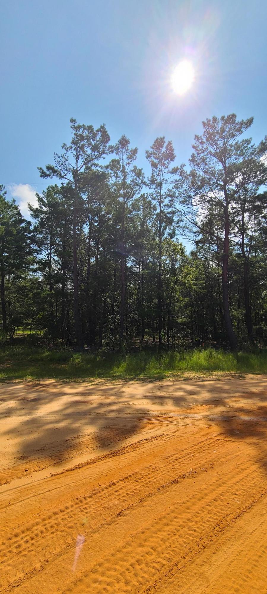 Cherry HIll (Unrecorded) - Land