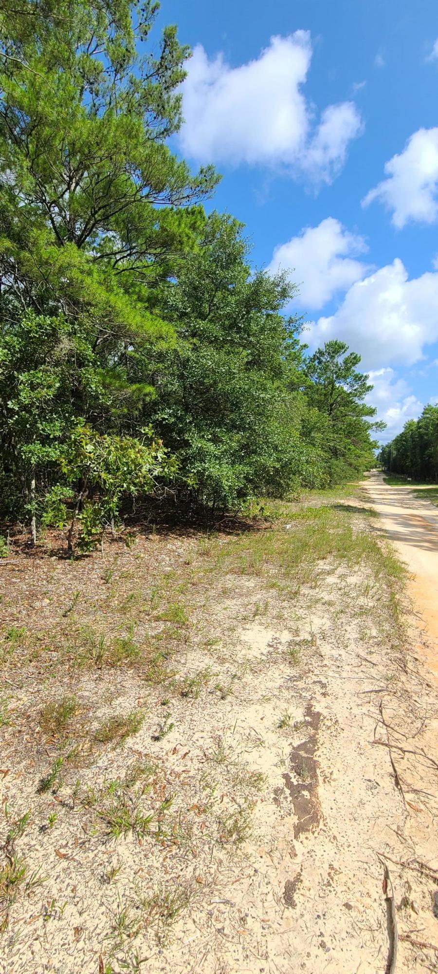 Cherry HIll (Unrecorded) - Land