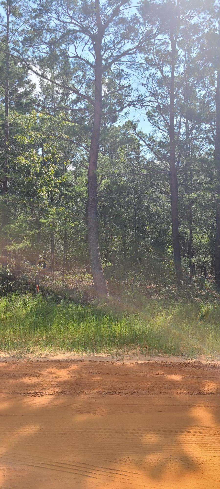 Cherry HIll (Unrecorded) - Land