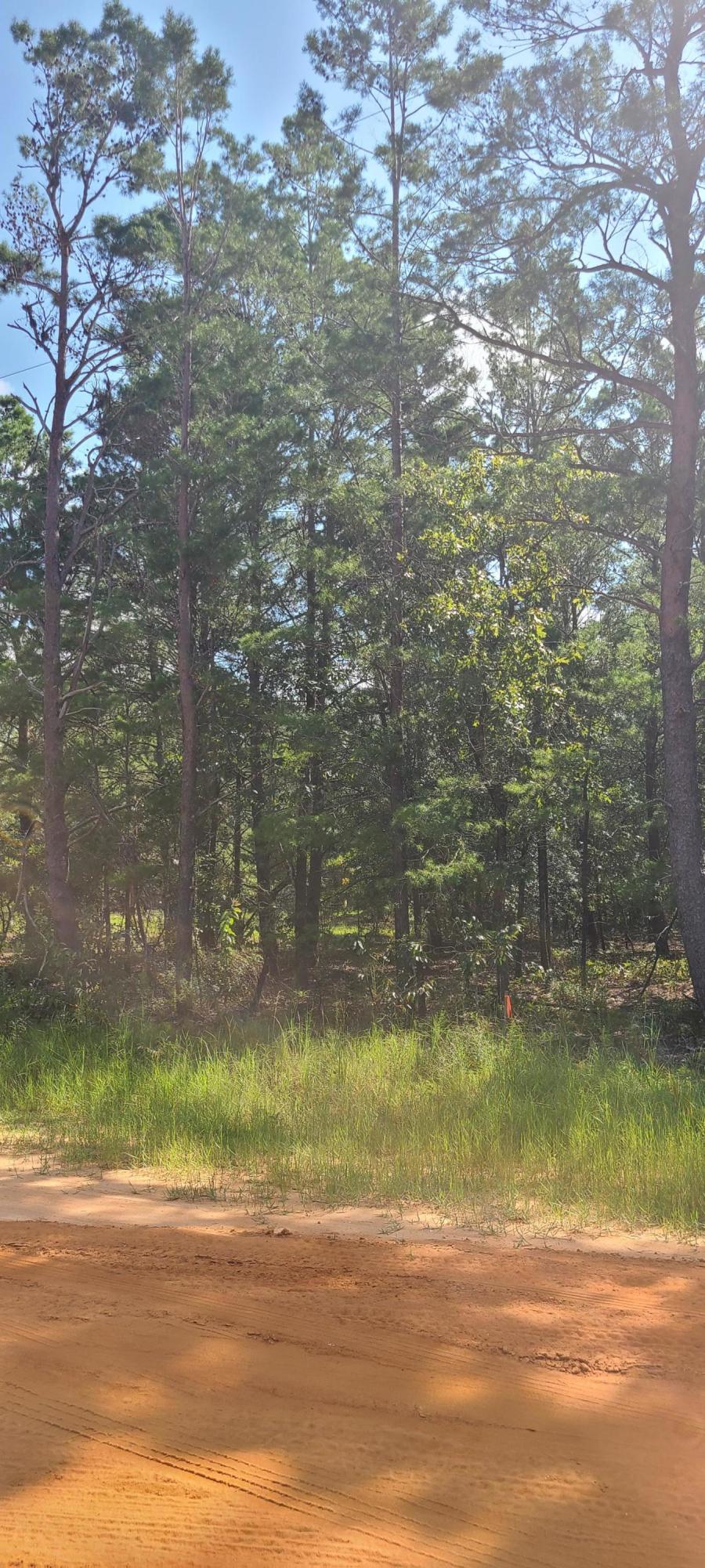 Beautiful 5.13 acres in the quiet and peaceful town of Mossy Head. This 5+ acre lot will make the perfect home. With plenty of room to spread out. This little town is growing and you can own a piece of it here.buyer to verify all measurements/