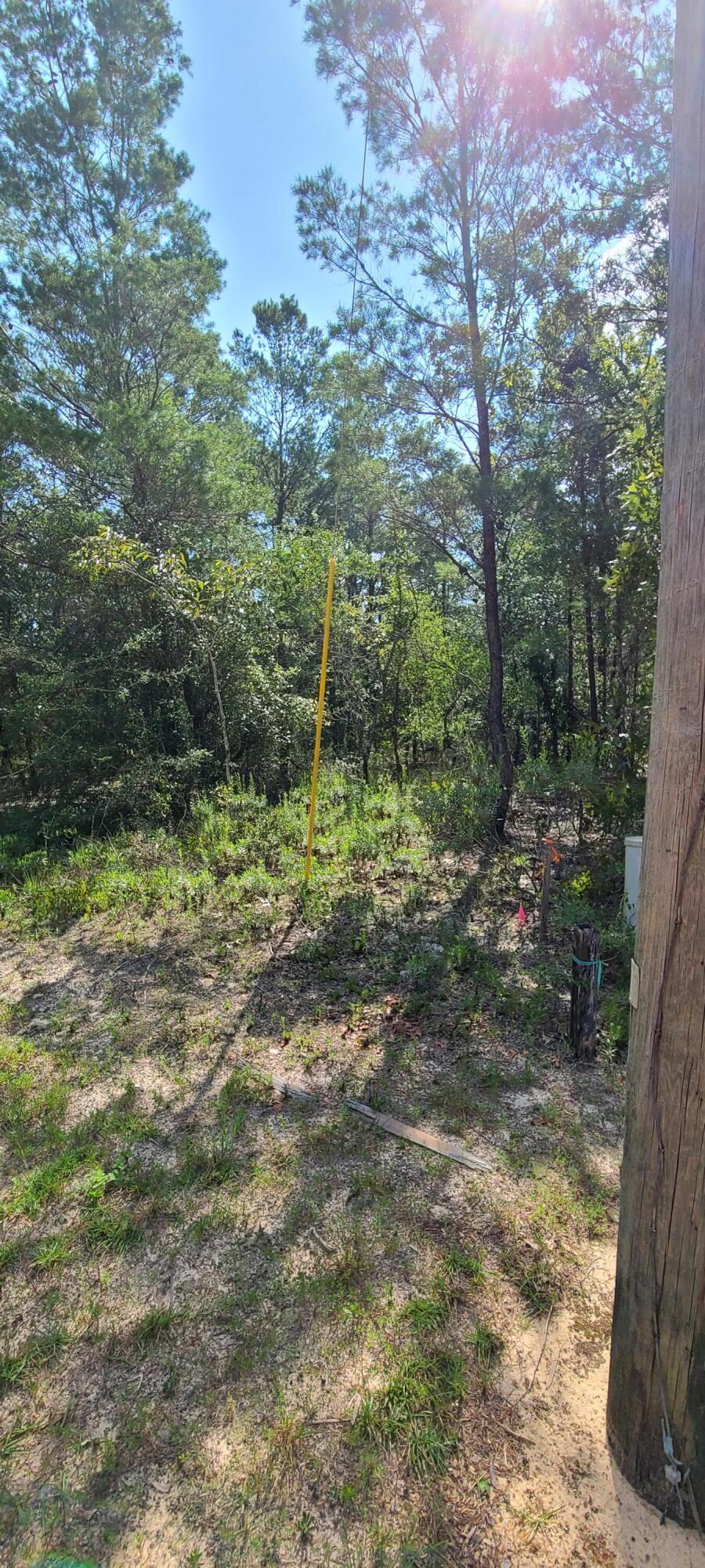 Cherry HIll (Unrecorded) - Land